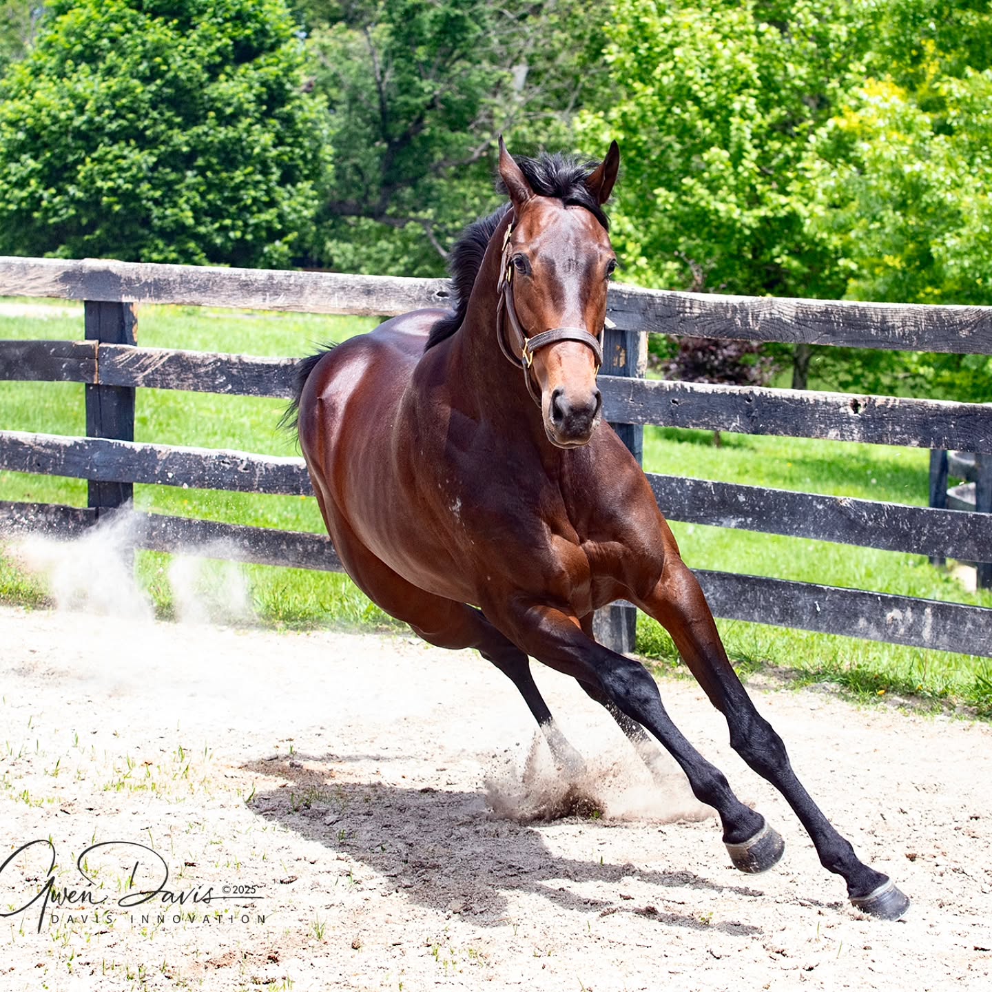 Two more @secondstride beauties ready to run their way into your ❤️.