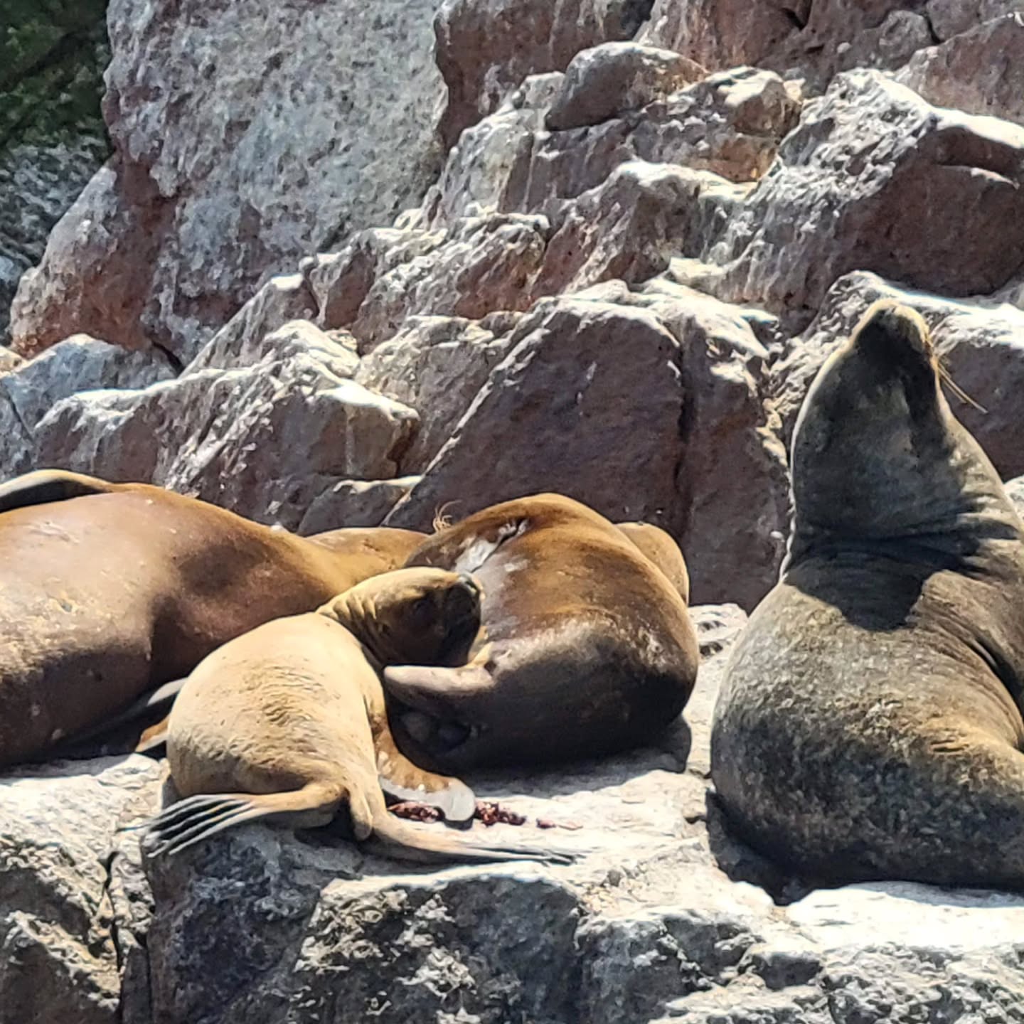 If you're dreaming of faraway places, let Peru be your next escape. Mountains, ruins, colors and cultures that took our breath away (quite literally 😂) - new link in bio!
.
.
.
.
.
#travel #twogirlsgetaway #travelblogger #gltlove #glt #dametraveler #sheisnotlost #travelgirl #peru #machupicchu #visitsouthamerica #rainbowmountain #humantaylake #huacachina #wonderful_places #huntgram #wearetravelgirls