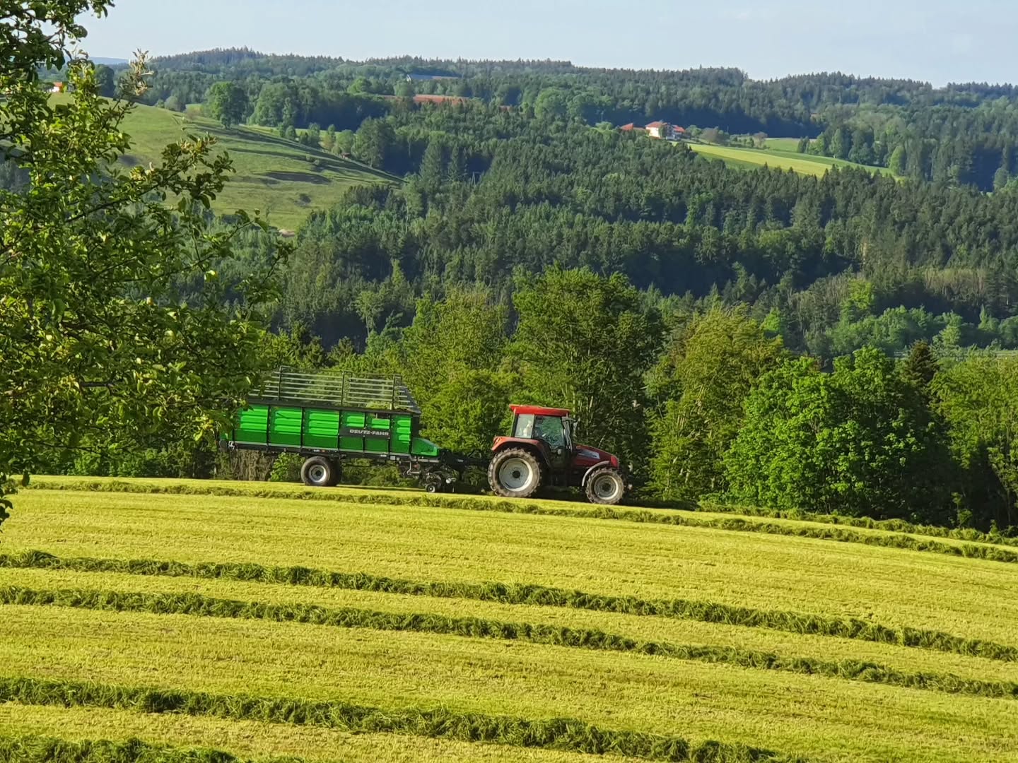 Wer mag mitfahren? Wenn Kinderaugen leuchten...
#bulldog #traktor #tractor #mitfahren #urlaubaufdembauernhof #urlaubaufdemsamerberg
#urlaubindenbergen #urlaubsregionchiemsee
#silieren #silo #einfahren #bulldogfahren #ferienwohnungen #urlaubmitkindern #servussamerberg #wanderhöfesamerberg #samerberg #weissnhof_samerberg #weissnhof
@family_supertramp Danke für das Foto und eure Hilfe damals😉