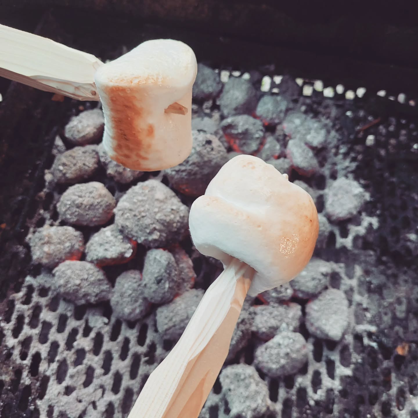 "Was gibt's zum Nachtisch?" kam die Frage der Kinder nach dem Grillen... die Antwort war schnell gefunden und die Stöcke schnell geschnitzt...
#grill #grillabend #marshmallows #karamellisiert
#nachtisch #grillen #gesellschaft #geselligerunde #urlaubaufdemsamerberg #urlaubaufdembauernhof #urlaubmitkindern #ferien #urlaub #ferienwohnung #servussamerberg #samerberg #wanderhöfesamerberg #weissnhof_samerberg #weissnhof