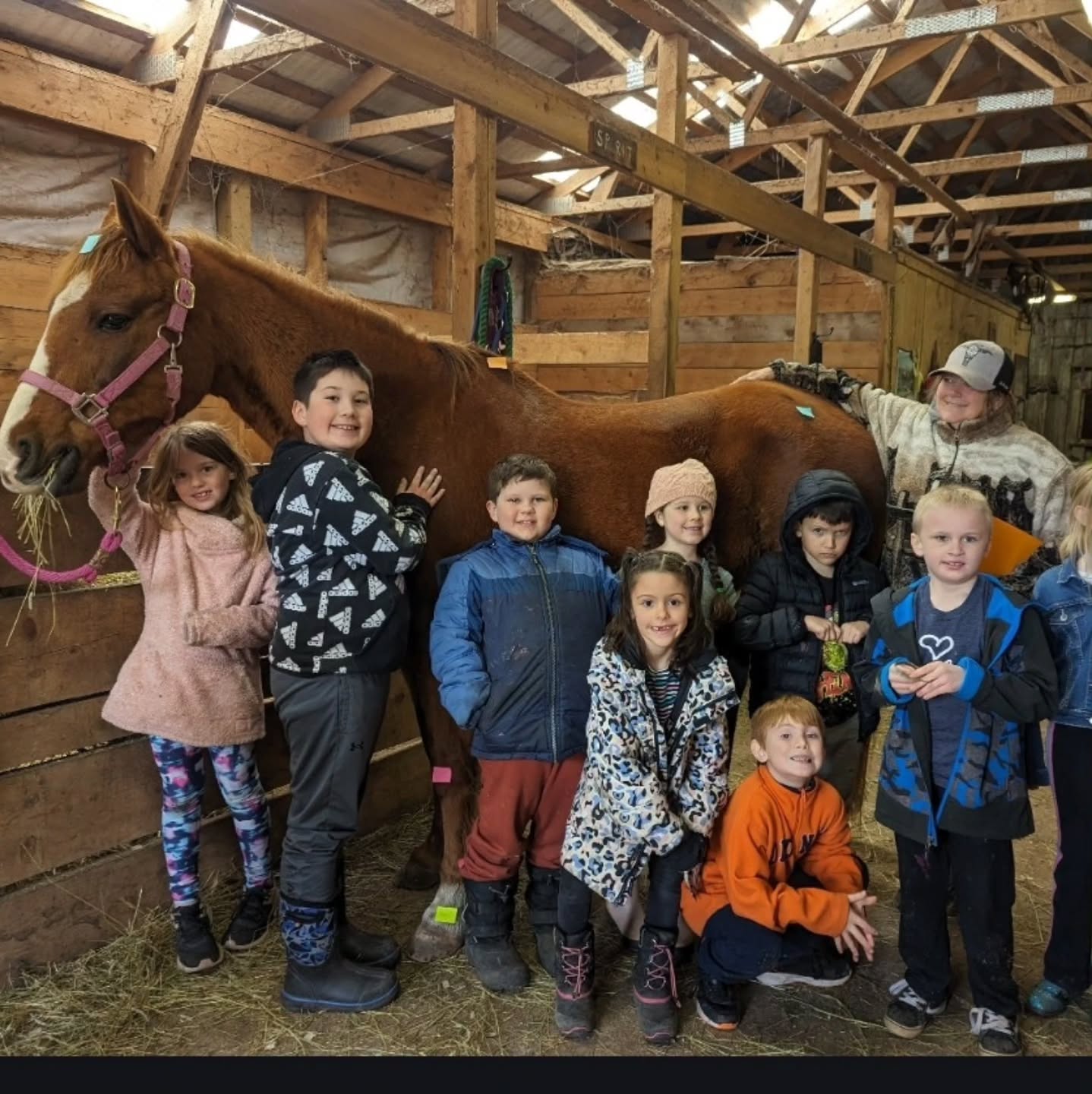 We had the amazing opportunity to host students from West Colchester Consolidated School in our Healing Hearts with Horses program in April. Select students from Grades 2, 3, 4, 7, 8 and 9 participated. The students spent their days learning about horse care and management. They learned about grooming, horsemanship and some leading and basic riding skills. They even got to play a game of farmer Olympics with teachers and students racing! This program consisted of 5 days during school hours. The feedback from parents, students and school staff was so rewarding and positive! We are excited to see them back again next year!! #healingpathways #HH-EALprogram #healinggheartswithhorses #westcolchesterconsolidatedschool #spiritreinsranch
