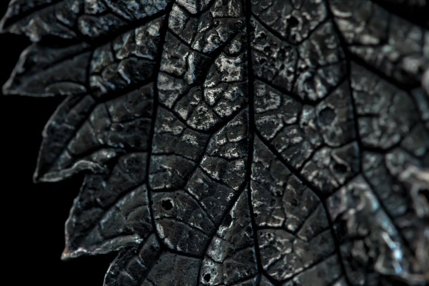 It's the month of June which means it's almost time for my NEW COLLECTION 😍
🌟 10am (BST) on Saturday the 21st of June 🌟
A full collection of just leaves, but why just leaves? Because I find them incredibly beautiful, like look at this close up?! How frigging cool is it that I can make leaves in silver and, that they look this good! 🤯
I'll show you more pieces as the month goes on, there's still 18 days 👀
I'm curious though, if you're into your plants and trees, can you tell what this leaf is from? 🤭 and to make it more fun, if you guess correctly, I'll give you a 10% discount on my new collection when it launches 😘
.
.
.
.
.
.
.
#recycledsilver #sustainablefashion #sterlingsilverjewelry #silverandfernjewellery #sustainablejewellery #ecoconscious #handmadegiftsuk #ethicallymadejewelry #naturejewellery #metalclayjewelry #metalclayartist #silverleaf #leafart #leafimprint #naturejewelry #naturecollection #patination #smalldetails #closeupmagic