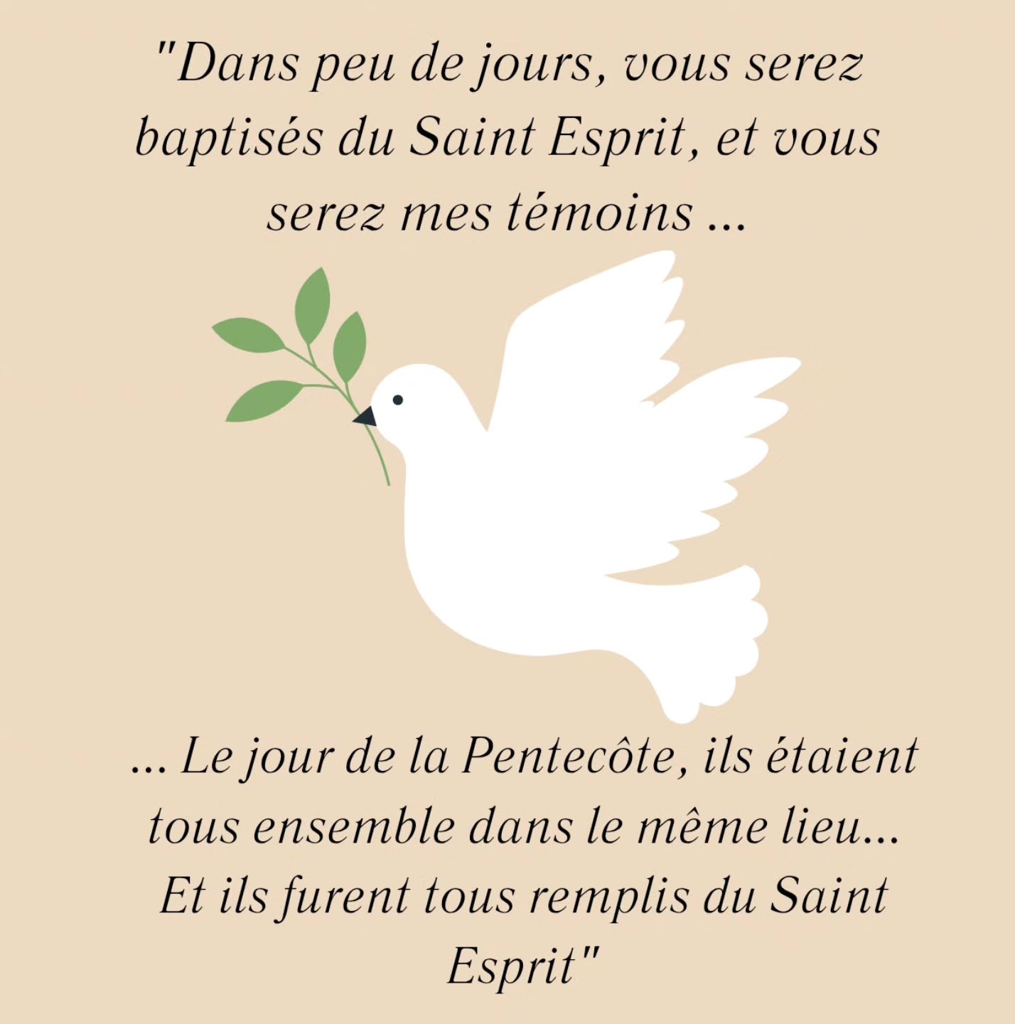 "Dans peu de jours, vous serez baptisés du Saint Esprit, et vous serez mes témoins... Le jour de la Pentecôte, ils étaient tous ensemble dans le même lieu ... Et ils furent tous remplis du Saint Esprit" 🙏
#priere #priencore #louange #bibleverse #bible #foi #foichretienne #dieuestamour #dieuestfidèle #dieuestpuissant #dieuestjuste #dieuestamour #saintesprit #pentecote #témoins #colombe