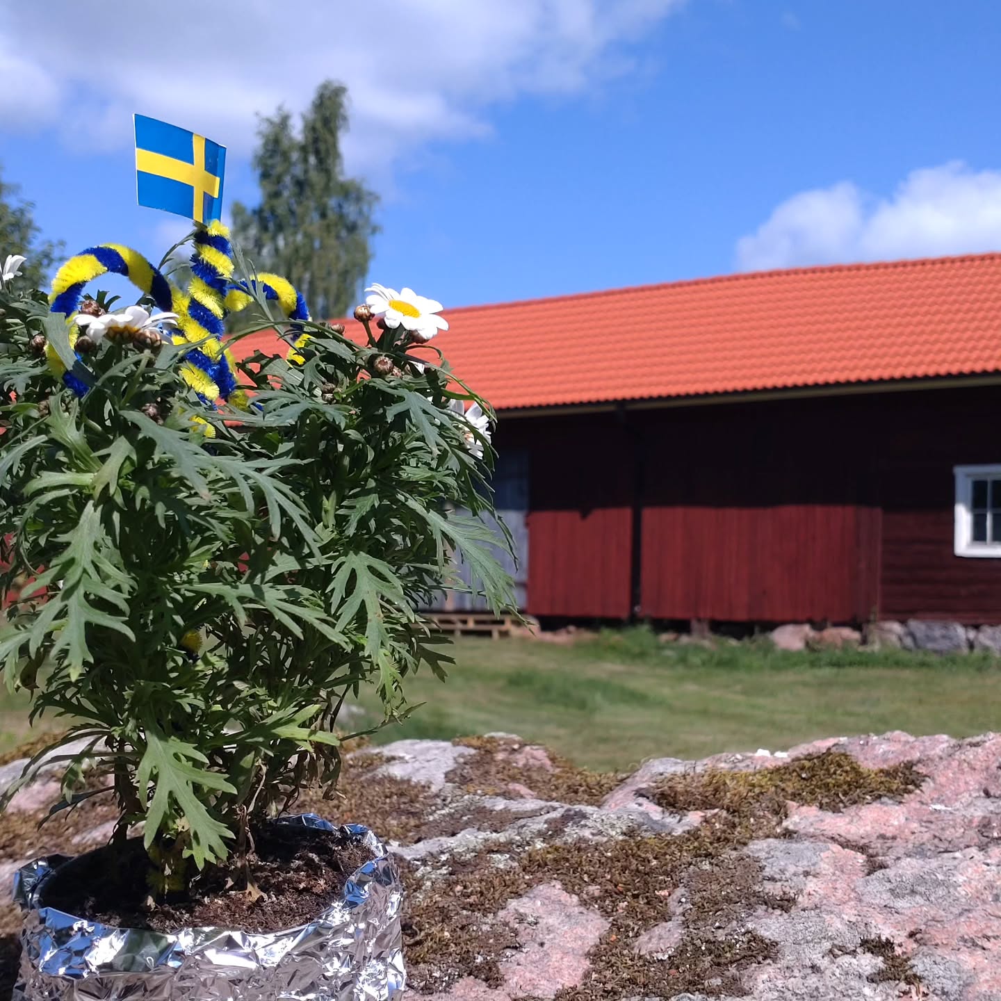 Trevlig midsommar 🌸🌼🪻☀️
Var rädda om varandra ❤️
Visa hänsyn och respekt både mot dig själv och andra 🙏
Ta väl hand om barnen, både dina egna och andras 👶
Alkoholfria alternativ är väldigt gott 🥂
Samtycke är en riktigt bra grej 🤗
Släpp taget om ord som måste, ska och borde och ersätt med "jag vill"! 👌
Ät och drick gott, dansa och lek om du vill och njut av dagen 🌸
#midsommar
#vänligpåminnelse
#njut
#vänlighet
#respekt
🪻Pernilla, Marie och Mari 🪻
