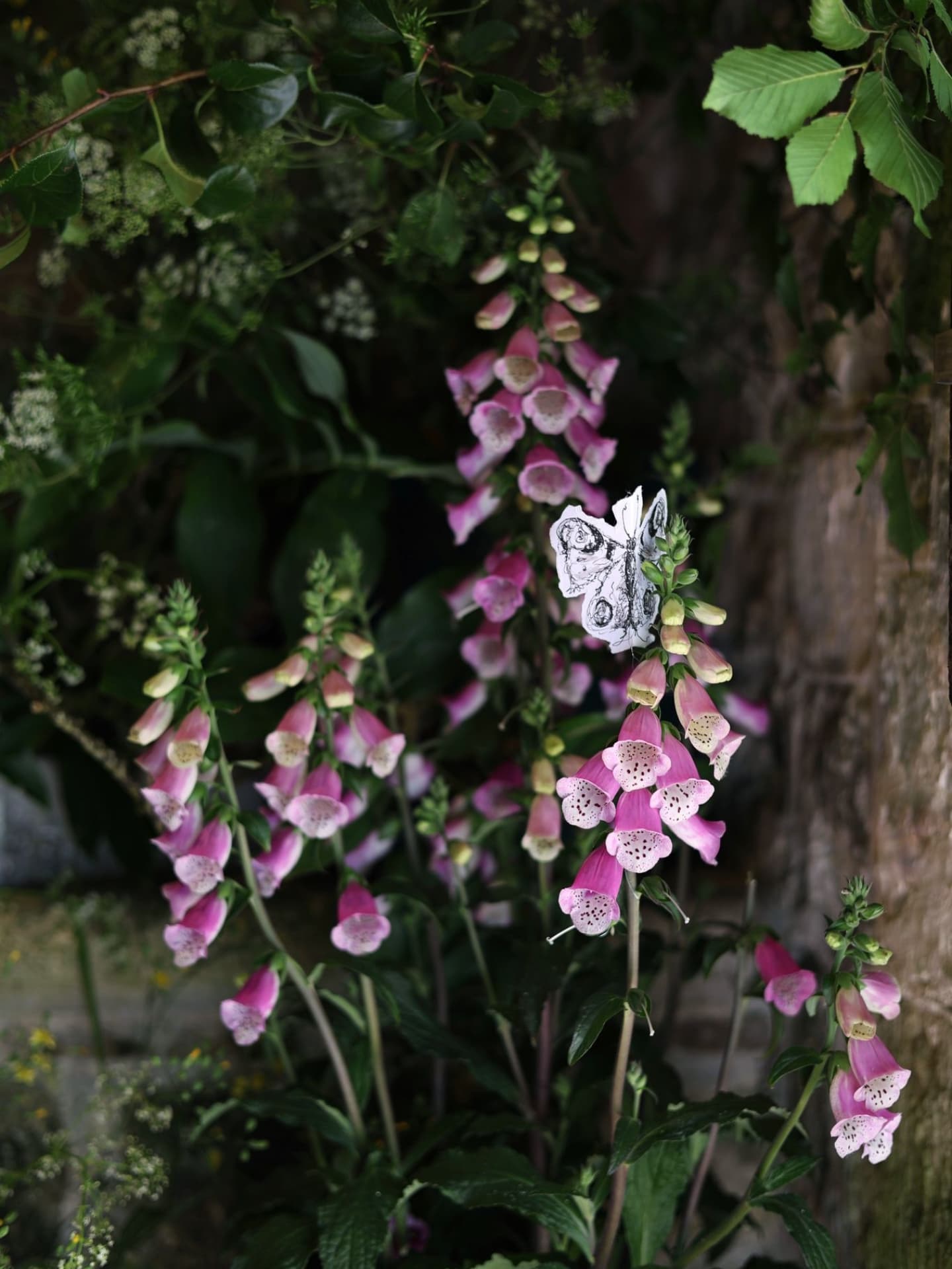 Lovely shots taken by @woodlarkinginsomerset! One to follow.
The last week has been a bit of a whirlwind... I am not sure how many steps I did between, but gosh, my feet hurt, it was worth it seeing so many smiles raised by flowers... big grins and gasps of unexpected delight
I had a wedding and undertook 2 large pieces in our church... that and generally rallying flower enthusiasts of all ages from 6 to 88....... it was a joyous flower filled weekend at our Church Flower Festival. Breakdown was made bearable by having the famous Rustic Bakery Carrot Cake to keep me going.. a weekend filled of special.memories...and loved seeing my Mummy and Daddy actually getting to see my day job in the flesh!
This week, the girls and I are up to our arms in endless brights and corals.. fruits and veg.. a bit of vibrancy before we head back into neutrals..
#dorset #dorsetweddingflowers #dorsetflorist #dorsetweddingvendor