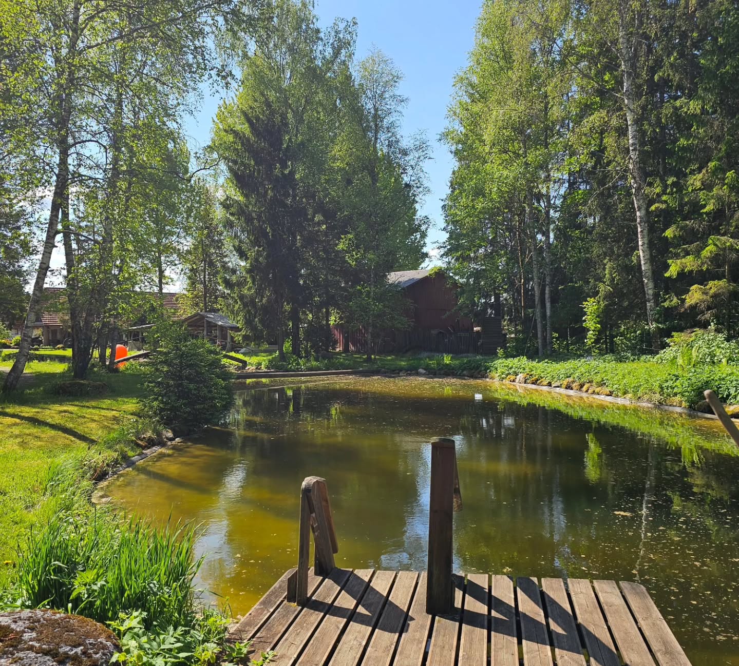 Ma arvasin, et mind viis 1,5a tagasi @rolandtokko kokku juhuslik loosivõit, aga.... elus ei ole mitte midagi juhuslikku! Ka mitte see, et just need imelised inimesed on Edu Kiirendi mastermindis või millised inimesed käivad meil mastermindi aasta vältel külas jagamas oma lugu ja teadmisi! 🤩
Tsiteerides seekordset üllatuskülalist @peepvain "Tunne ära oma funktsioon! Sinu püha kohus! Seda Sa peadki tegema ja edasi andma! Me oleme kõik siin elus edasi andjad! Kui Sa ei anna edasi, siis sa oled si*apea!" 💩😅
HD ütleb, et ma olen manifestor ja tunnen, et mulle on antud mega missioon siin elus edasi anda. #edukiirendi toob seda hirmutavalt jõuliselt aina enam pilti. 🫣 Ma luban! Ma liigun edasi ja kasvan, ka siis, kui ei julge, sest ma tahan! Kiirendi on see tõesti olnud ja isegi aasta pole veel täis. 😅 Tänu Rolandi loodud ruumile ja just nendele inimestele, keda näed siin piltidel, olen mõelnud ja tundnud ja kogenud asju, mida ma üksi ei suudaks väljagi mõelda! Ma olen teinud mega kasvu lühikese ajaga mitmes mõttes!
Aga see pole kaugeltki kõik, vaid alles algus… Seda kinnitas ka Kristina Tamme praktika ajal pimesi valitud metafoorkaart! Mis oli niiiiii ilus..... oi kuidas ma tõlgendasin sealseid detaile ja märke, kuniks viimaks ometi läksin peast (sellest mida näen) südamesse (mida tunnen) ja siis ma nägin ära kaardi sõnumi! Kogu see väärtus ja detailid ja mina ise olin küll peegli ees, aga selles peeglis polnud midagi näha, sest kardin on vahel! Ma ikka veel ei tunnista oma tõelist väärtust ja ei julge näha kogu oma potentsiaali! 🥺 ... ja see teekond jätkub!
Sama teema jätkuks, mis ma veel Peep Vainu jagamistest kaasa võtsin...
"Enamik inimesi läheb hauda ilma oma asja ajamata - valimata! Surnuaed on see koht, kus on kõige rohkem täitumata unistusi!" Ma ei kujuta ette ka, mida minu enda valitud teekond veel minuni toob, aga ma lähen kindlalt edasi! Ükskõik kui hirmus see ka pole!
"Nii palju inimesi otsivad pikemat elu. Tegelikult võiks otsida rohkem elu oma aastates!" Ja vot selle pärast ma lähengi edasi! Ma tahan tunda, et MA ELAN! 🥰
PS! Üks mõte jätkub järgmises kommentaaris ka. ☀️
#edukiirendimastermind #potentsiaal #kõikonvõimalik