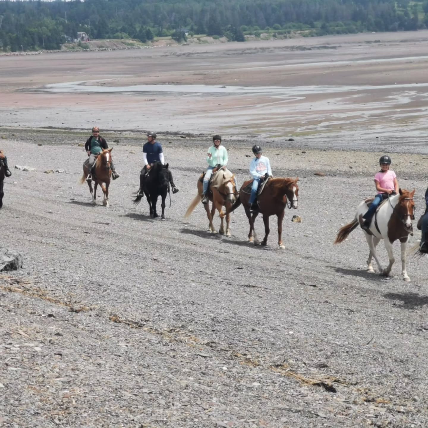"It's like traveling back in time!" To quote one of our guests today. It was a poignant statement considering we ride along the fossil Cliffs of the Bay of Fundy. 350 million year old fossils. It is quite humbling, and frankly, it never gets old! (pardon the pun!) We certainly feel blessed to share our little part of the world! Today, our guests were all the way from Florida and Montreal. Thank you for choosing us as part of your summer adventures! #horses ##horsebackriding #horsebackridingonthebeach #ridingontheoceanfloor #cliffsoffundygeopark #bayoffundy #explorenovascotia #highesttidesintheworld #travel #adventure #getoutside #exploreparrsboro #spiritreinsranch