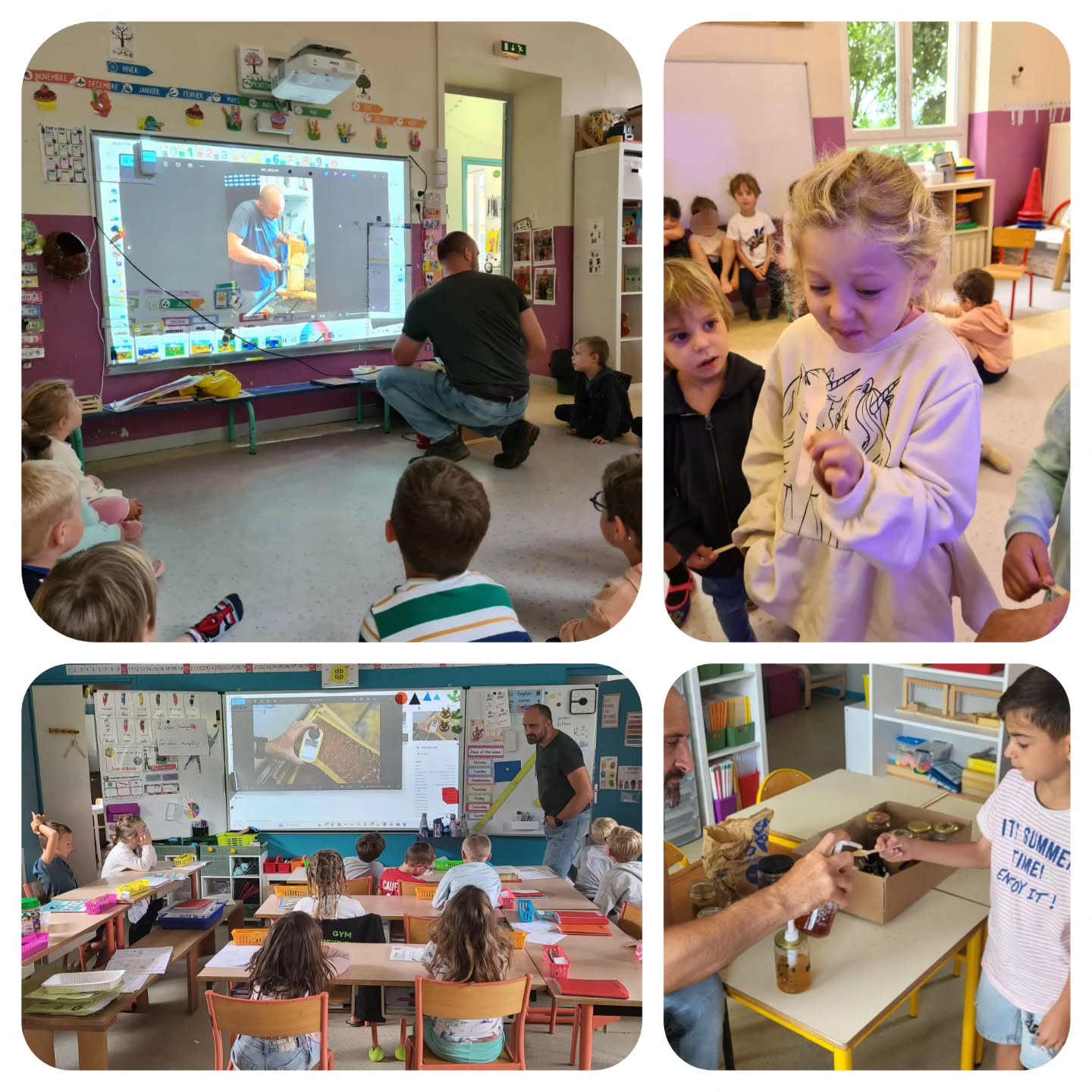 La semaine passée, Jean-Baptiste est à nouveau intervenu à l'école pour parler de son métier d'apiculteur. Il nous a également proposé de goûter différents miels.
Merci @les_ruchers_de_jb !
#enseignementcatholique #ecolecatholique