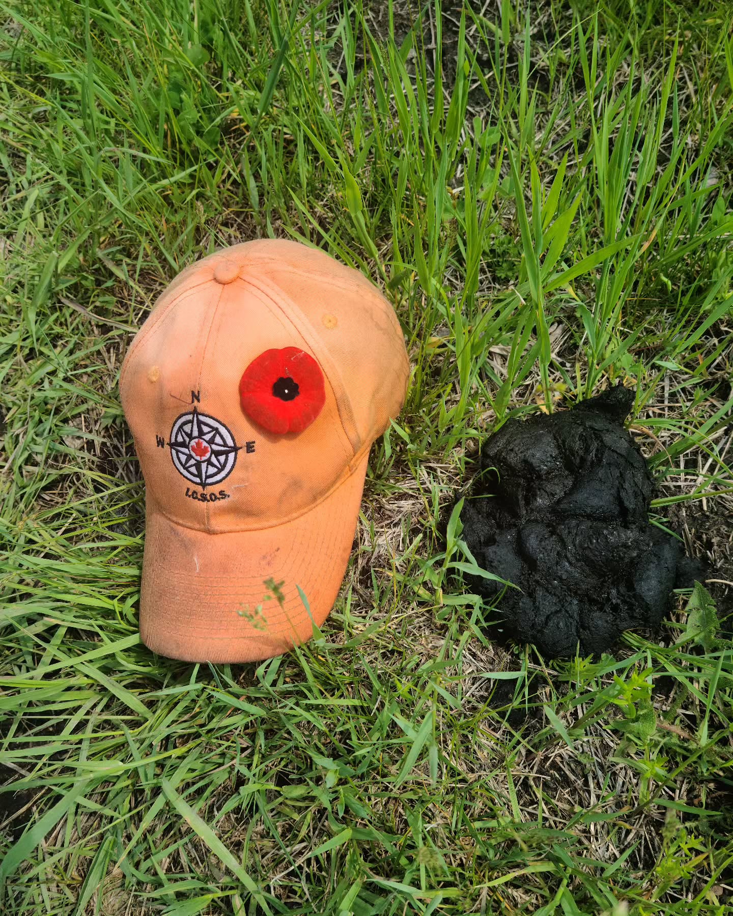 Not mine! Ok, ok, the hat is mine.
#blackbear #predator #boreal #safety #outdooreducation #jordansprinciple #backtotheland #wildlife #poop #survival