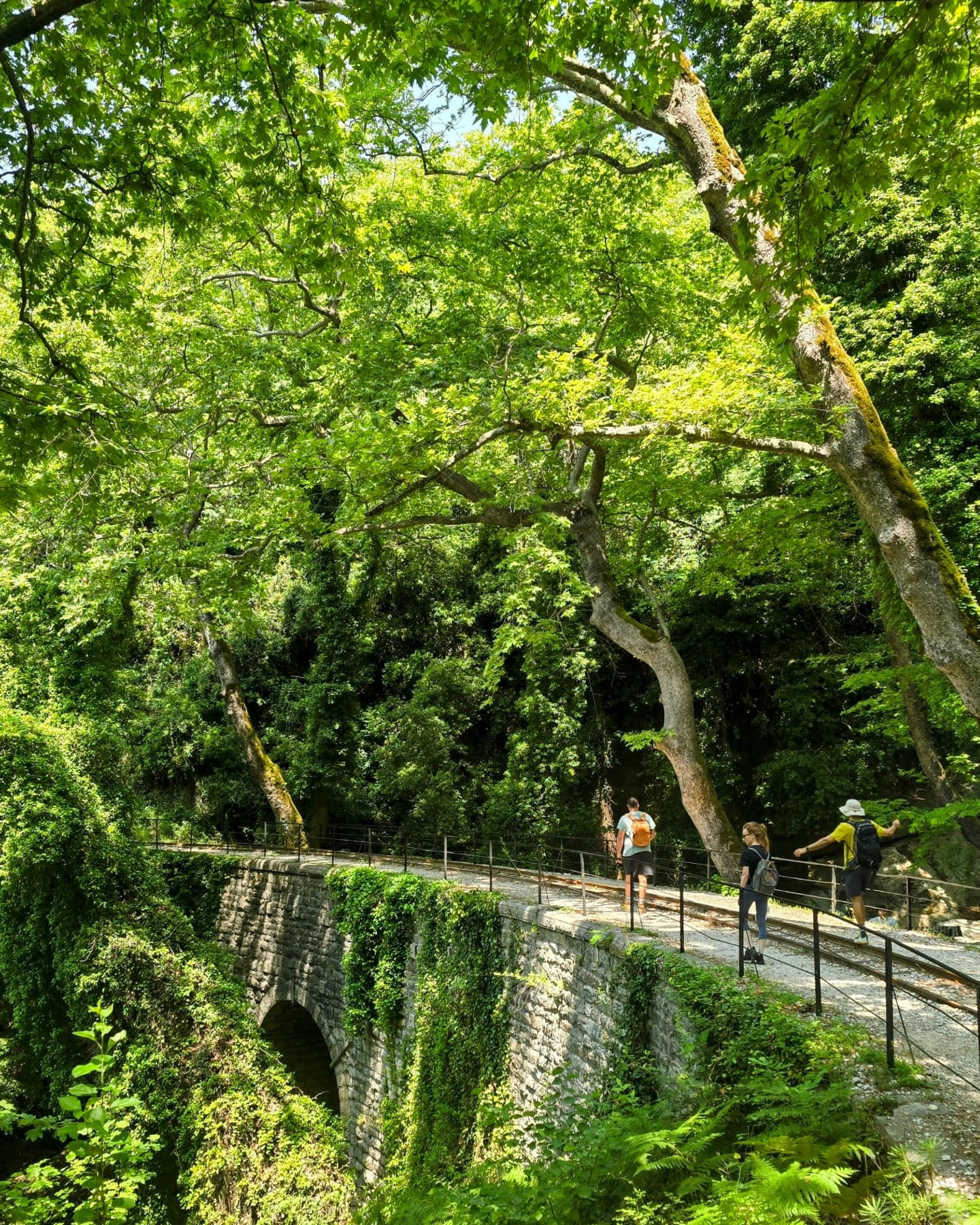 A beautiful week in beautiful Pelion with a beautiful group of people 🌿❤️🦋
.
We hiked amazing trails filled with fresh fruits (we picked cherries, wild plums, apricots and my favourite wild strawberries!🍓)
.
We had 2 fantastic yoga classes a day 🤍
.
We swam in both the Aegean and the Pagasetic gulf at incredible beaches 💓
.
We ate local, fresh delicious food 🍒
.
We found an amazingly friendly pup who adopted us for a few days 🐾
.
We had a beautiful sound bath ✨
.
We spent our last night in an amazing local tavern dancing the night away ❤️
.
Pelion is always magical ✨ join us for our next retreat there this September! ❤️🌿🦋
.
.
.
.
.
.
.
.
.
.
#Nefelinine #HikingAndYogaAdventure #hikingpelion #yogaretreatGreece #yogawithaview #yogaforhikers #hikingholiday #peliongreece #AuthenticGreece #AuthenticExperiences #DiscoverGreece #movementasmedicine #dance #seakayakgreece #kayakpelio #damouchari #fakistra