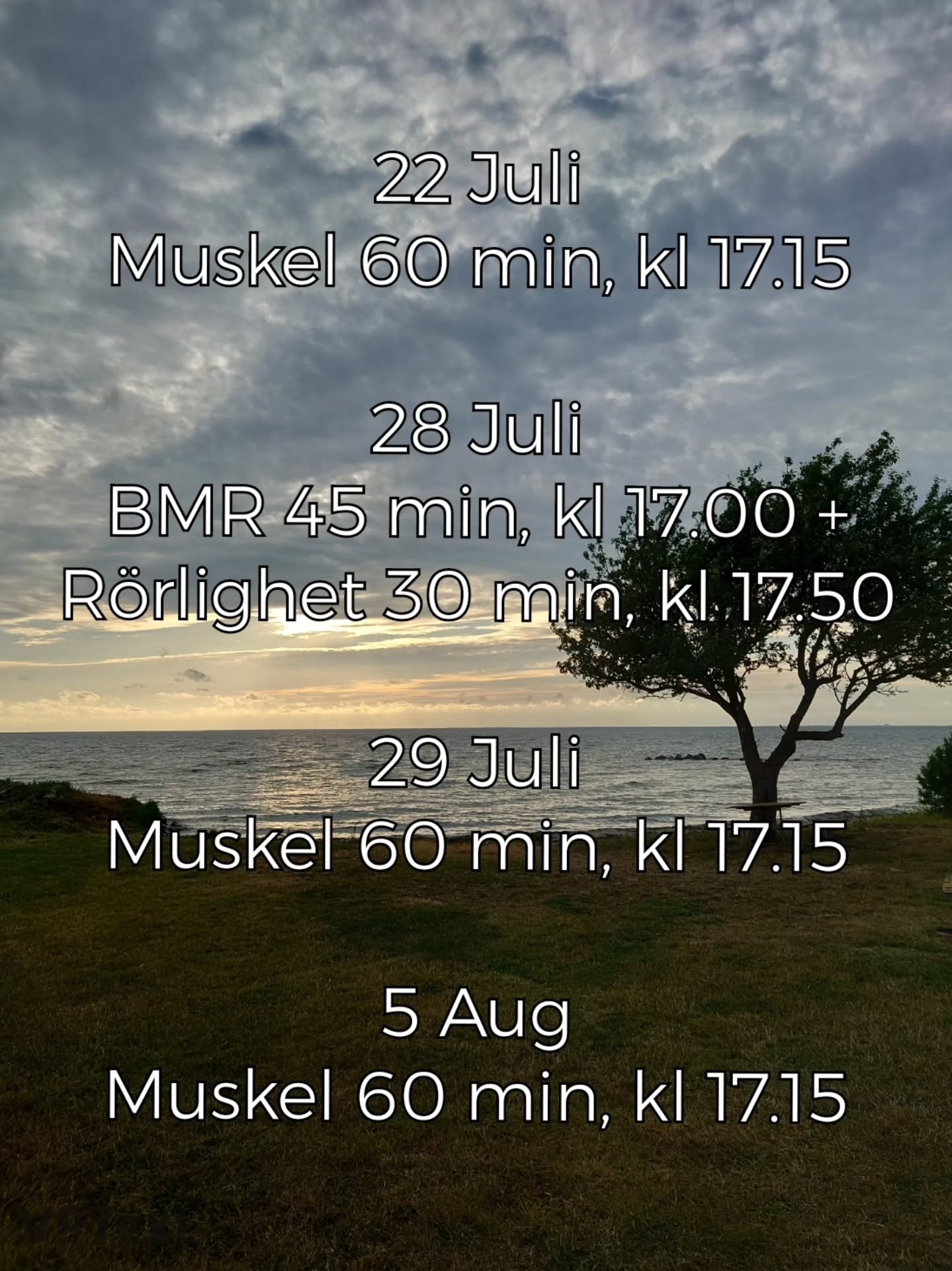 Hej mitt i sommaren! Hur har ni det? 💚
Jag har precis kommit hem från en helt fantastisk vecka på Öland där vi fick in en fullträff på vädret ☀️🤩🍓
Jag tänkte kika in för att säga att jag kommer dyka upp i Huddingehallen ett gäng kvällar nu under sommaren om du vill haka på och köra lite gruppträning, swipea! ➡️
Det blir styrka med redskap, styrka för Ben-Mage-Rumpa (BMR) och rörlighet ✨🙏
Det går att lösa enkelbiljett eller köpa klippkort 💪
✳️ Pillan ✳️