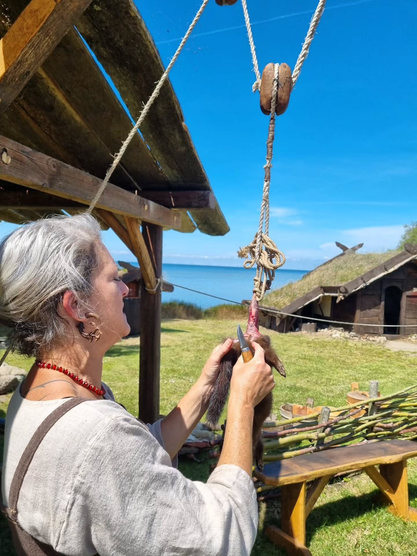 Still in enjoying summer at Fotevikens Viking Museum in Sweden. 😀
Here I'm demonstrating skinning of a mink to visitors.
#fotevikenvikingmusuem is an open air museum you have to visit if you're interested in the Viking era og middle ages.
#vikingculture #vikingage #animalprocessing #ancientcrafts #primitive skills
