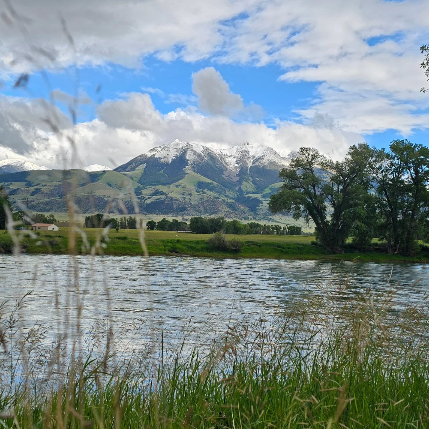 Montana out here confused, acting like it was just the Winter solstice and not Summer. Rain, snow or shine, we are open for business, yall.
🏔
Thursday - Monday - 11:30-8:00
🍻
#montana #summer #bbq #barbecue #yellowstoneriver #emigrant #snow