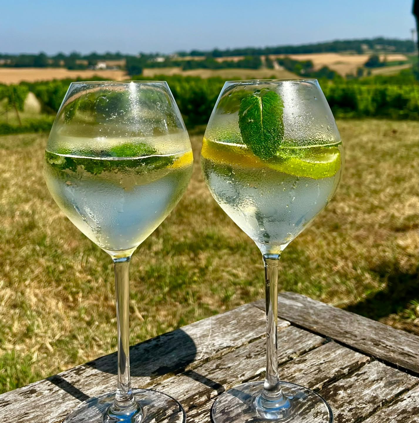 🌿 Pause fraîcheur à la boutique !
On se rafraîchit avec un délicieux Hugo Spritz, préparé avec notre incroyable liqueur de sureau maison 😍
Un vrai régal à siroter en profitant de la vue imprenable depuis la boutique ☀️🍃
📍Ne tardez pas à venir goûter cette petite merveille estivale !
L’abus d’alcool est dangereux pour la santé. À consommer avec modération.
#HugoSpritz #LiqueurDeSureau #CocktailEstival #VueImprenable #PauseFraicheur #BoutiqueGourmande