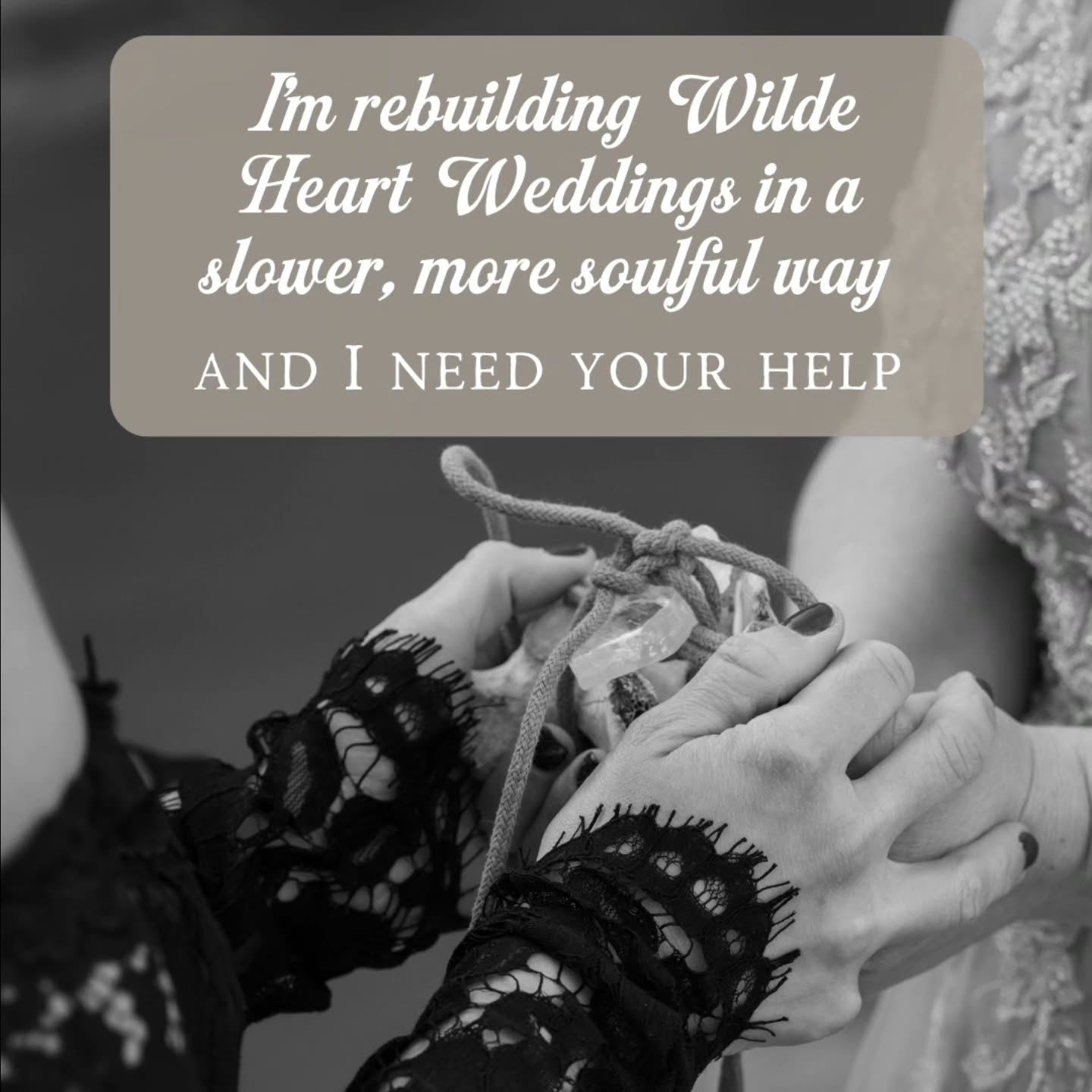 Rebuilding my Google presence... after losing 200+ reviews.