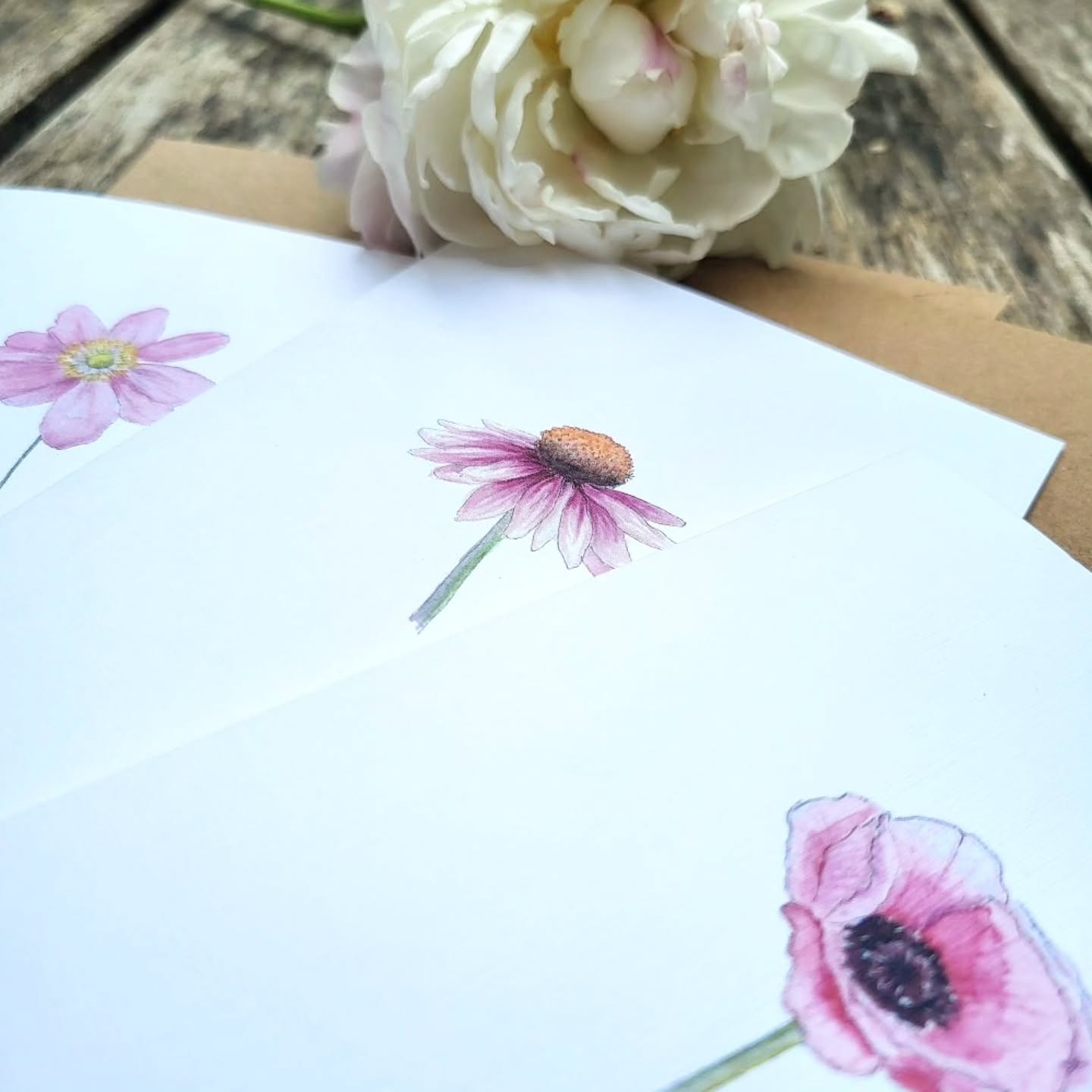 I have captured three of my favorite flowers with watercolours on paper. Always a fresh summer memory, so to speak. The motifs are now also available as greeting cards in my online shop. Individually or as a set.
Drei meiner Lieblingsblumen habe ich mit Aquarellfarben auf Papier eingefangen. Sozusagen eine immer frische Sommererinnerung. Die Motive sind ab sofort auch als Grußkarten in meinem Shop erhältlich. Einzeln oder als Set.
.
.
.
.
.
.
.
.
#flowercards #slowflowers #greetingcards #stationery #finepaperart #luxurycards #luxurystationery #anemone #echinacea #mohnblumen #feinekarten