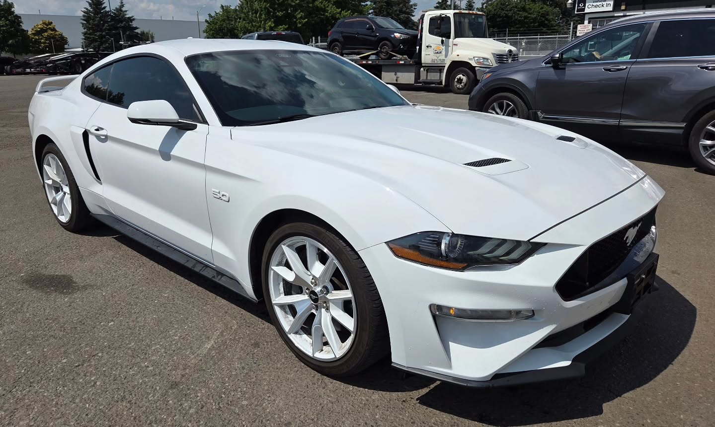 2022 ford mustang GT Premium 🧊 Ice White Appearance Package #SellMyCar #InstantCash #UniversalMotors #Mississaugadealership #Gtacars #Mustanggtpremium #Mustangicewhite