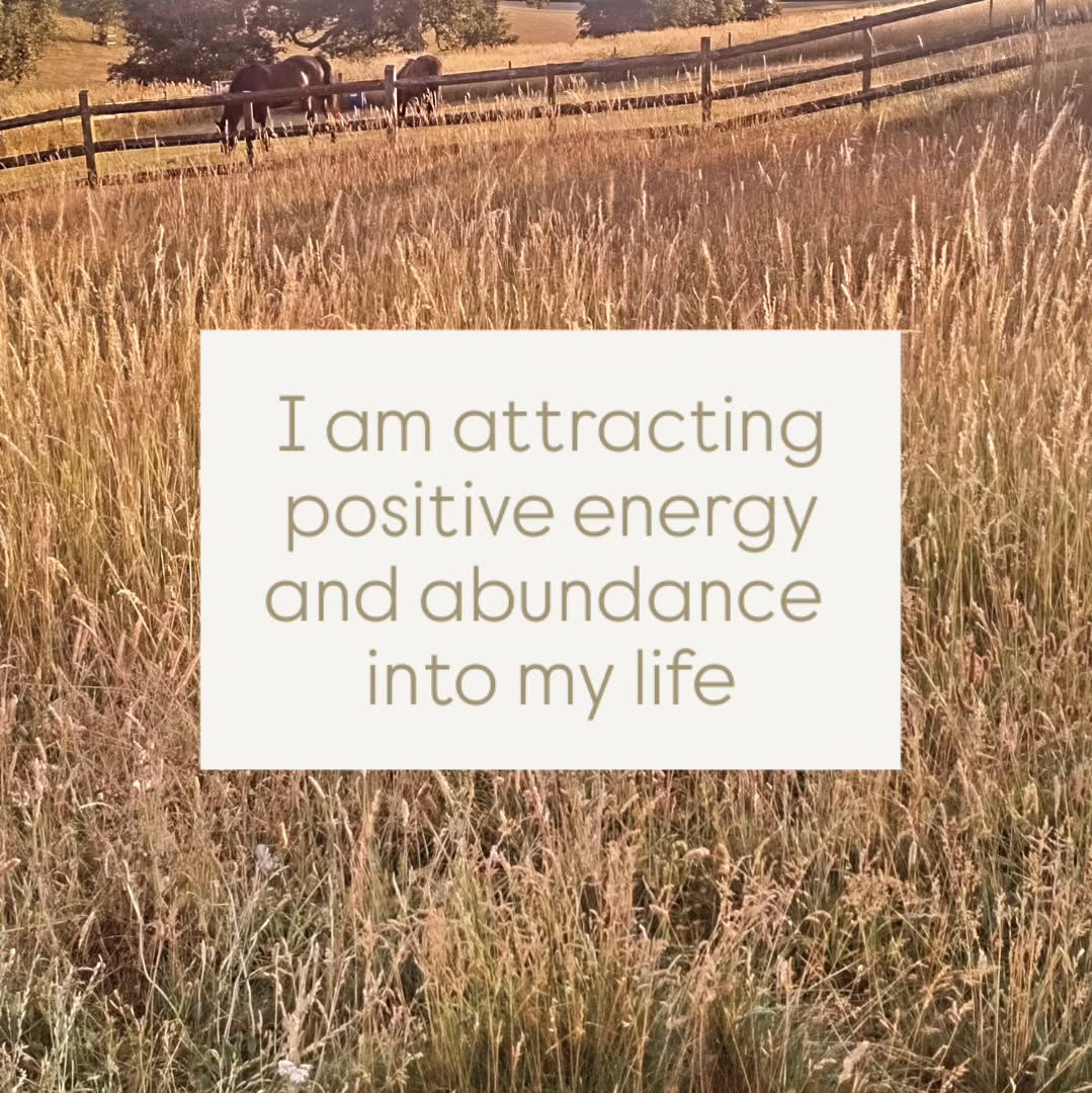 Create the right mindset by thinking positively.
Go on, raise your vibration...
#positiveaffirmations #positiveattractspositive #rewireyourmind #rewireyourbrain #neuroplasicity #neuroplasticityandhealing #vibehigh #manifesting #abundance #lawofattraction #positivemindset #loveyourself #meditation #recalibrate #projectrecalibrate #affirmationoftheday