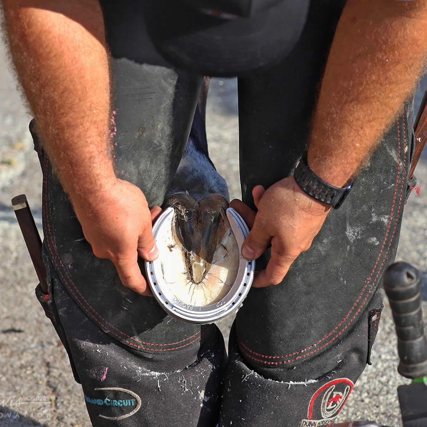 Backside (and grandstand) scenes of our people doing their thing on a typical morning at Churchill.