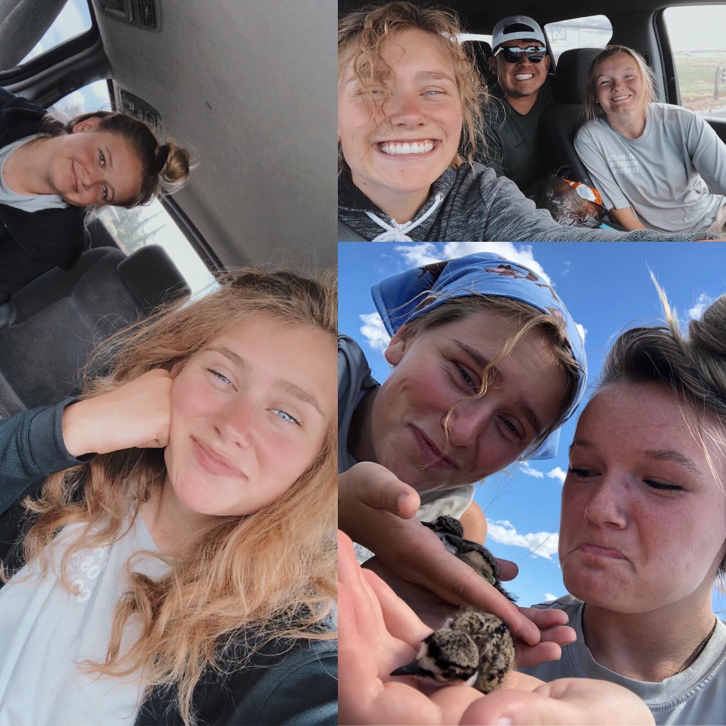 Had my last day of work so I thought I’d share some highlights from the last two summers at mosquito control 🦟