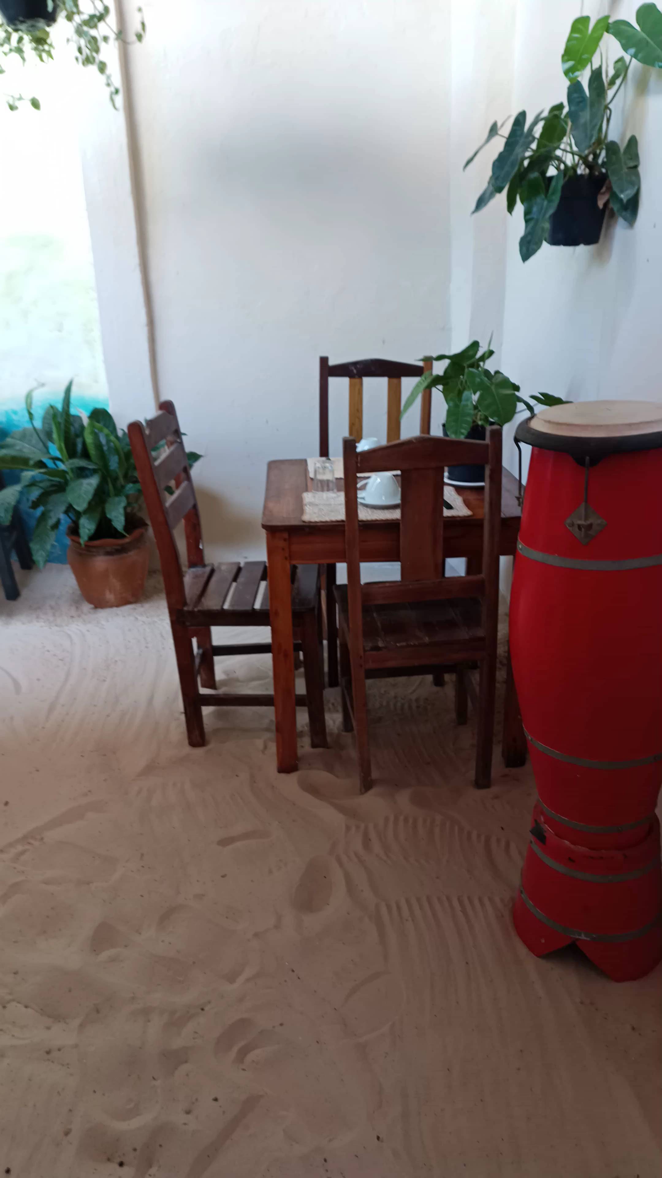 ☕ Nosso café da manhã 🍞🍰
🛎️ Esperamos vocês 🤙
#cafedamanha #desayuno #colazione #breakfast #pousada #hostel #jeri #jericoacoara