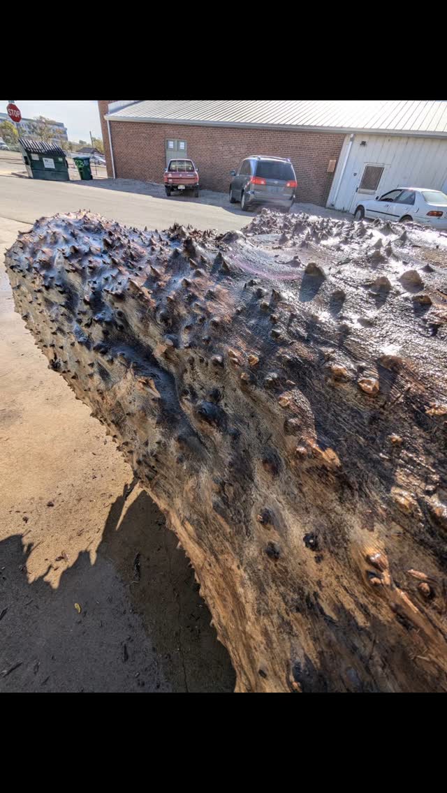 We got through a couple nice Elms today...
.
.
.
#slaburday #milling #shesabeauty #woodshop #liveedge #character #carbonsmart #urbanwood