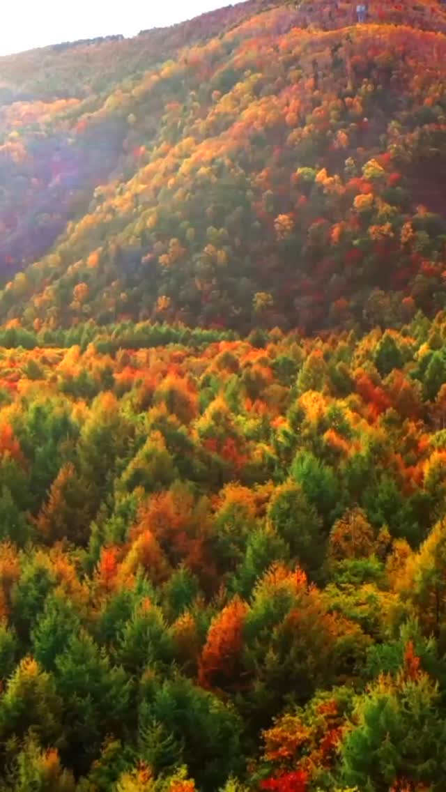 You are amazing! You are appreciated! You are enough!
You are a sovereign being, so you are the one who makes the decisions about every step in the process of your pregnancy, birth and together with your partner for your journey as new parents. Feel what you need and express this to your birthworker and your family and friends.
We have been conditioned to follow the rules, do what we are told and trust the experts to know what is best for us.
What if we dared to take back our power and take full responsibility for ourselves and our choices?
The result is an embodied, empowered experience.
No one knows what the journey will be like but whatever happens when you are supported to be in your power and connect to your intuition, your inner knowing then you will emerge from the process feeling empowered.
As a doula, a kraamzorg and a postpartum doula I will always support you and stand next to you cheering you on.
I believe in you!
#postpartum #birth #pregnancy
#prepareyourpostpartum
#pypwithSiri