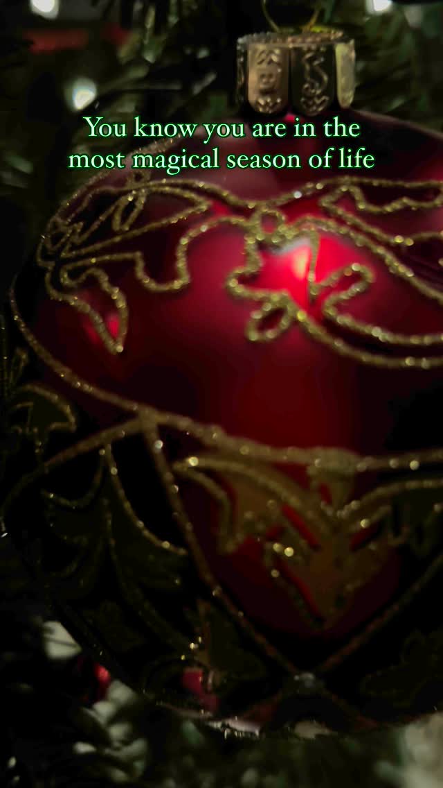 Every year, our Christmas tree tells a different story, and this year, it’s one only toddlers could create. The ornaments are all clustered together, hanging low to the ground—some branches nearly weighed down by tiny, eager hands that clump three ornaments on the same twig. It’s not the Pinterest-perfect tree, but it’s so much more. It’s a tree that sparkles with the wonder of little voices saying, ‘Look, Mommy, I did it!’ A tree marked by tiny fingerprints, held up by toddler logic and magic. This season may be fleeting, but it’s filled with so much joy, and I wouldn’t have it any other way. These are the decorations that truly make the season sparkle.
#ToddlerChristmas #PerfectlyImperfect #ChristmasMagic #MomLife #HolidayMemories #ToddlersAtChristmas #MakingMemories #FamilyTraditions #ChristmasTreeDecor #HolidayJoy #BlessedMess #MomentsThatMatter #twinstagram #twinsofinstagram #twinningtwice #twins #twinmom