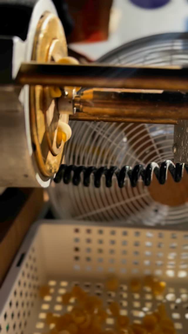 Missing sunshine these gloomy days? Our homemade pasta is like a big warm hug on plate! ☀️🍝♥️
#food #maidenhead #restaurant #delicious #pasta #fresh #sauceandflour #tasty #homemade