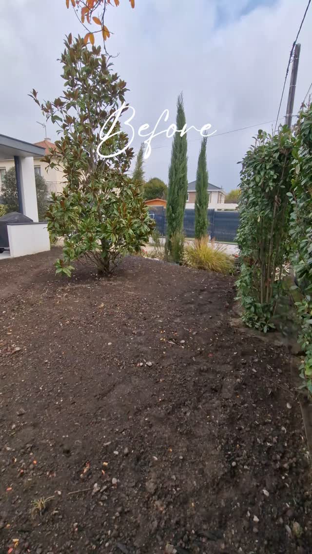 Avant/Après d'une pose de gazon en rouleau de 140m2 🌱
Étape 1 : Décompacter l'ancien gazon (140m2)
Étape 2 : Apporter et étaler 8 tonnes de terre criblée et amendée
Étape 3 : Poser les rouleaux de gazon en quinconce en veillant à bien les joindre ( 140m2)
Étape 4 : Arroser le gazon et Nettoyer le chantier ✨️