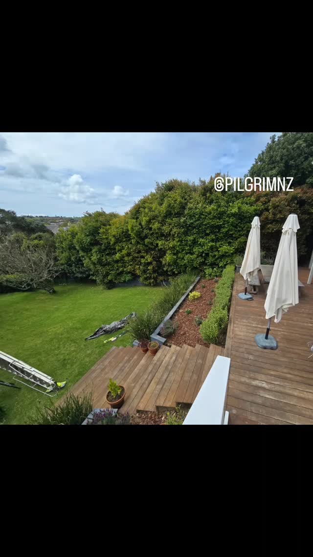 Hedges and plants get overgrown during winter. Here's a recent hedge reduction and cutting back job that we did for our clients. The hedge is tidier, and the pathway has opened up for more sunlight.