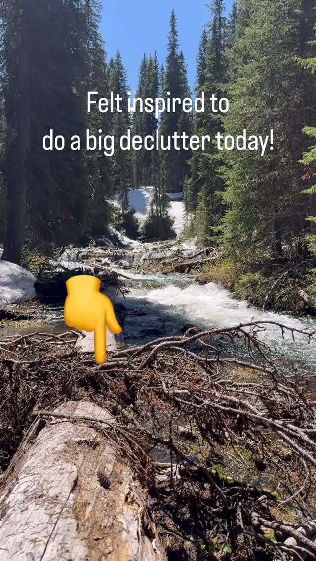 I recently listened to a fantastic episode of @thathoarderpodcast with @stuff_ology Dr. Jan Eppingstall. She talked about having a temporary moratorium on guilt over discarding. I realized I had been holding on to an ever increasing quantity of inventory that was not going to be useful to me or my family any time soon. A lot of the stuff was leftover project material from house repairs, or items I acquired for free that I thought might be useful in my business. There wasn’t really enough of any one category to use for another full project, or even enough to donate or sell secondhand. It was just taking up space in my home, and in my mind! Now that it’s gone, I notice how much holding on to this stuff was costing me. A weight is lifted and I can focus more time and attention on the things that really are important! #icdorganizer #chronicdisorganizationspecialist #profesionalorganizer #declutteryourlife