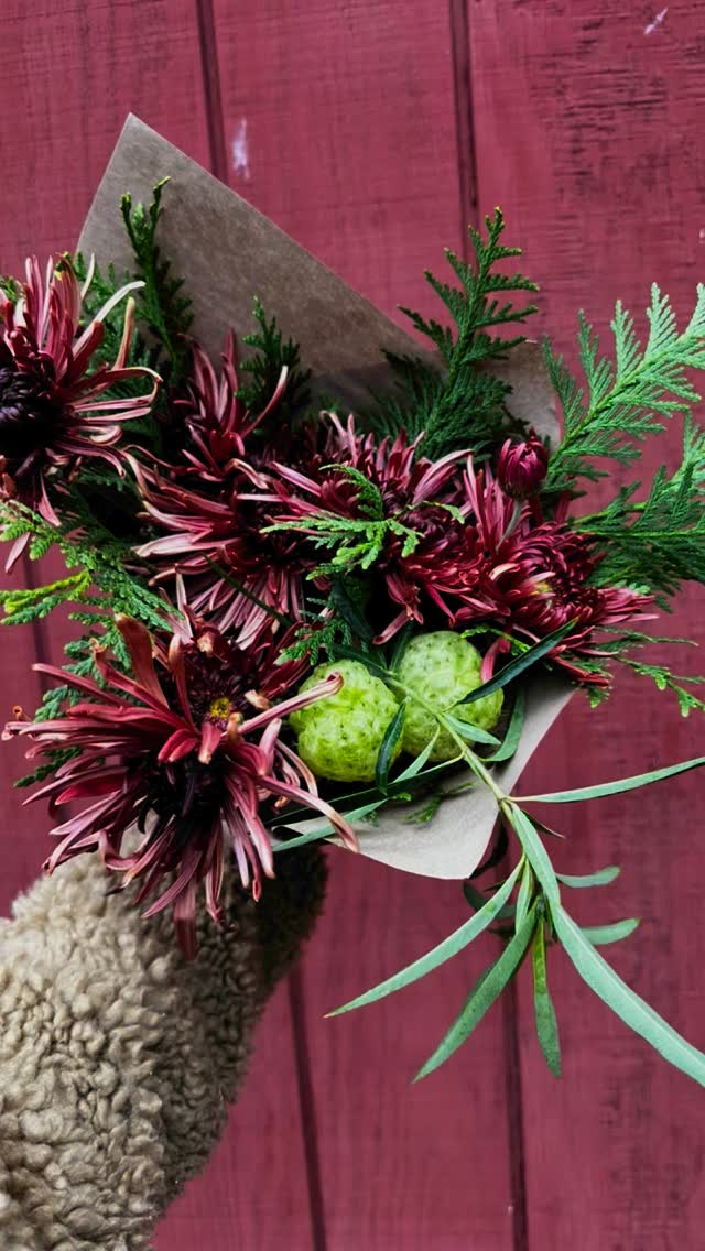 The seasonās last blooms available @lilyandbirchmarket this weekend!! Grab a bouquet for yourself or to show someone how much they mean to you.
PS Iāll be taking wreath orders through Thanksgiving!
#flowerstagram #flowerfarm #smallfarm #blooms #seasonaldecor #tistheseason #flowerfarmer #cutflowers