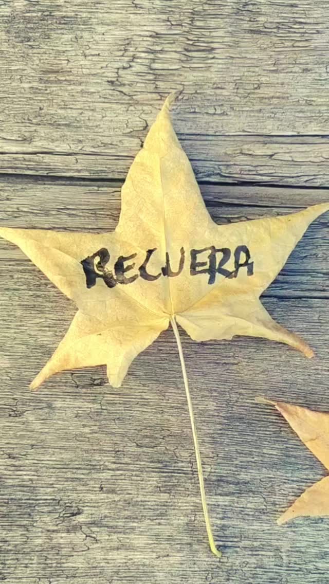 Sé tu misma en todas las estaciones del año.
🍁🍄🍂
#creadorasdebosques
#mujeresconectadas
#conectadasalatierra
#otoño