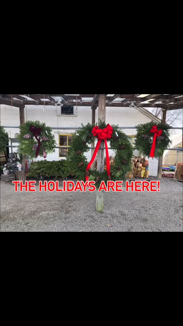 #holidayseason on the brain? We are #open Come do some #holidayshopping and #holidaydecorating #shoplocal #shopsmall