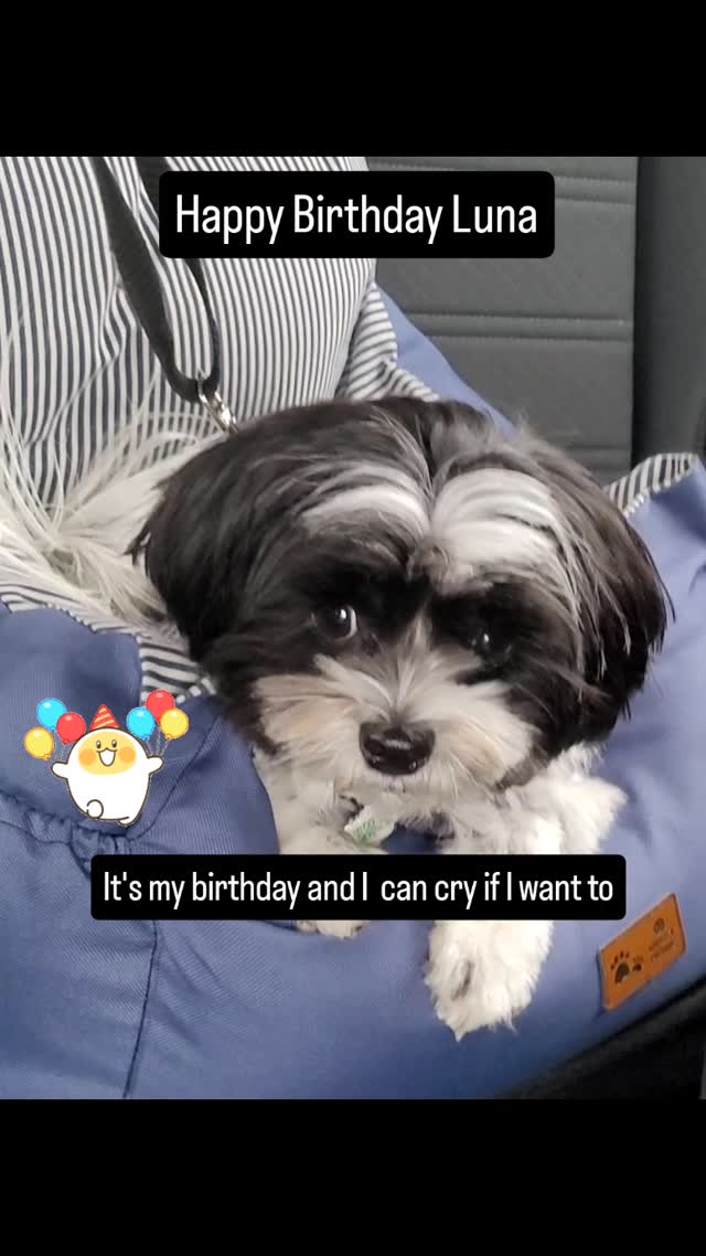 Birthday girl wanting all the stuff for her birthday!#