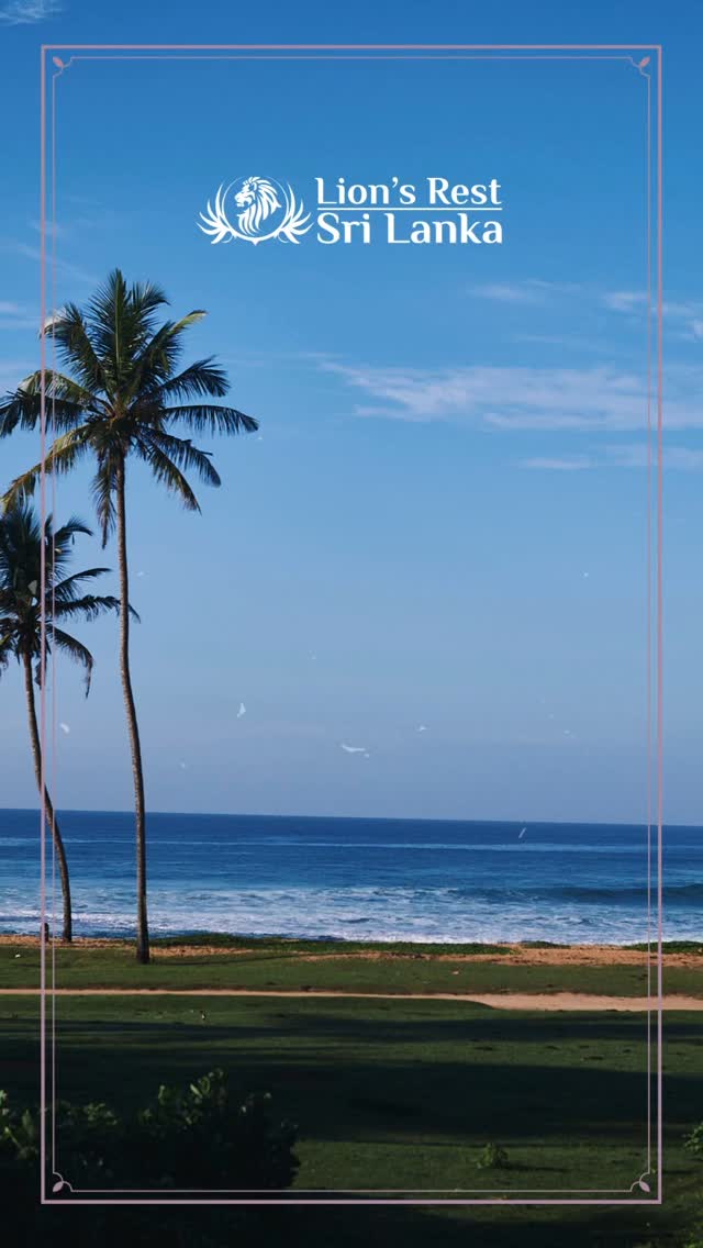 #gurubebila #surfsouthsrilanka #lionsrest #midigama #srilankatravel #srilankahotels #srilanka #surffamily
