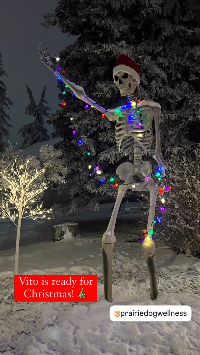 Tโis the Season. ๐โค๏ธ๐