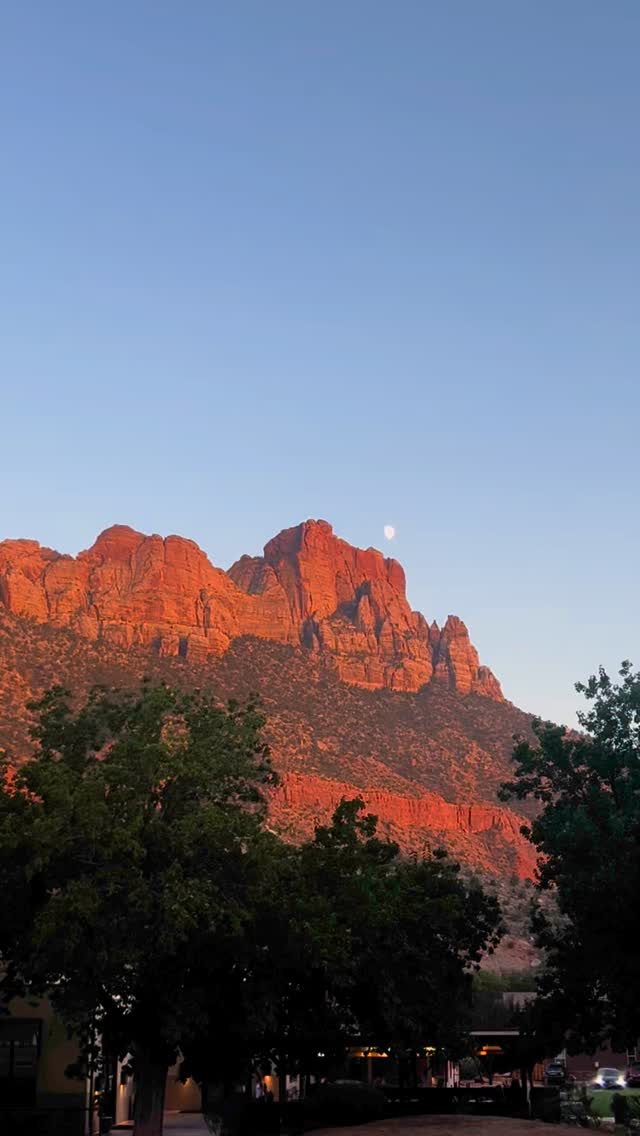 How to visit four national parks in one week (and which park has the best gay cowboy karaoke!) 🤠 Head to @thrillist for the full story