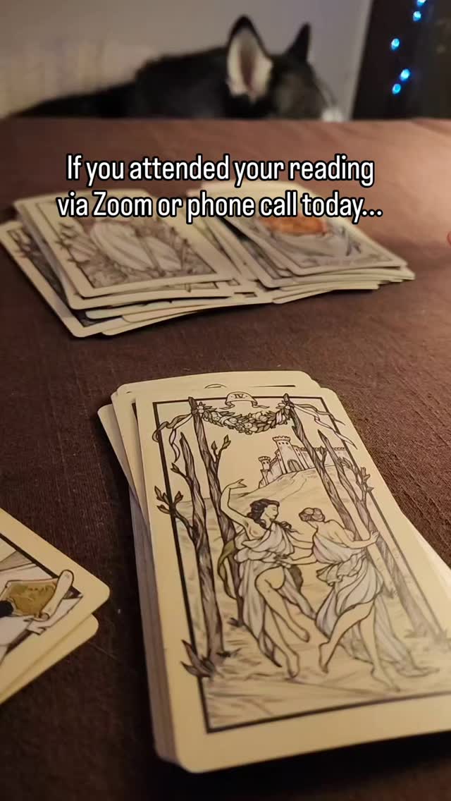 If you opt for a remote session, Lexa occupies your chair at the table.
I don't make the rules.
And yes, I will flip to the back-facing camera so you can see her if you prefer!
#metaphysicalshop #tarotreadings #huskiesofinstagram