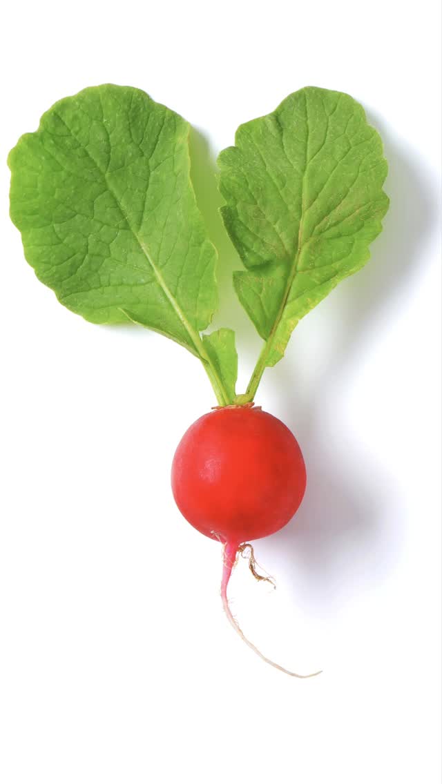 🌱Ein Ausblick in die Zukunft...
Mit dem Ende von 2024 endet die Förderperiode für unser Harzacker-Projekt. Seit wir das Projekt "Gemeinsam gärtnern" vom QM Harzer Straße im Oktober 2022 übernommen haben, ist eine Menge passiert.🥰
Baumscheiben wurden begrünt🌳, der Gemeinschaftsgarten P25 wurde gegründet🧑🌾, das super-innovative Gieß- und Werkzeugrad "Harzer Kanne" hat seine Jungfernfahrt erlebt 🚲 und im Herbst wurde nun schon zweimal mit den Kiezbewohner*innen die gemeinsame Ernte an der Langen Tafel verspeist und gefeiert. 🥕🍅🥦
Eine Menge ist geschafft und wir blicken voller Stolz auf diese zwei Jahre zurück. Doch wir haben noch viele weitere Pläne und Ideen für das Harzer Quartier...
Voller Freude und Tatendrang dürfen wir verkünden, das @parzelle_x Projektträgerin für das ✨️Anschlussprojekt "HarzAcker"✨️
ist! Wir werden also bis Ende 2027 weiterhin im Kiez aktiv sein und grüne partizipative Projekte durchführen, juhuuu! 😍🎊🌿
#HarzAcker #HarzAckerP25 #HarztalWildeRose #parzellex #pflanzdeinkiez #urbangardening #urbangardeningberlin #communitygardening #gemeinschaftsgarten #urbanfarming #baumscheiben #workshop #partizipation #kleingartenanlage #qmharzerstrasse #stadtnatur #umweltbildung #gesundeernährung #neukölln #harzerkiez #konsumfrei #grün #senatsverwaltung #berlin