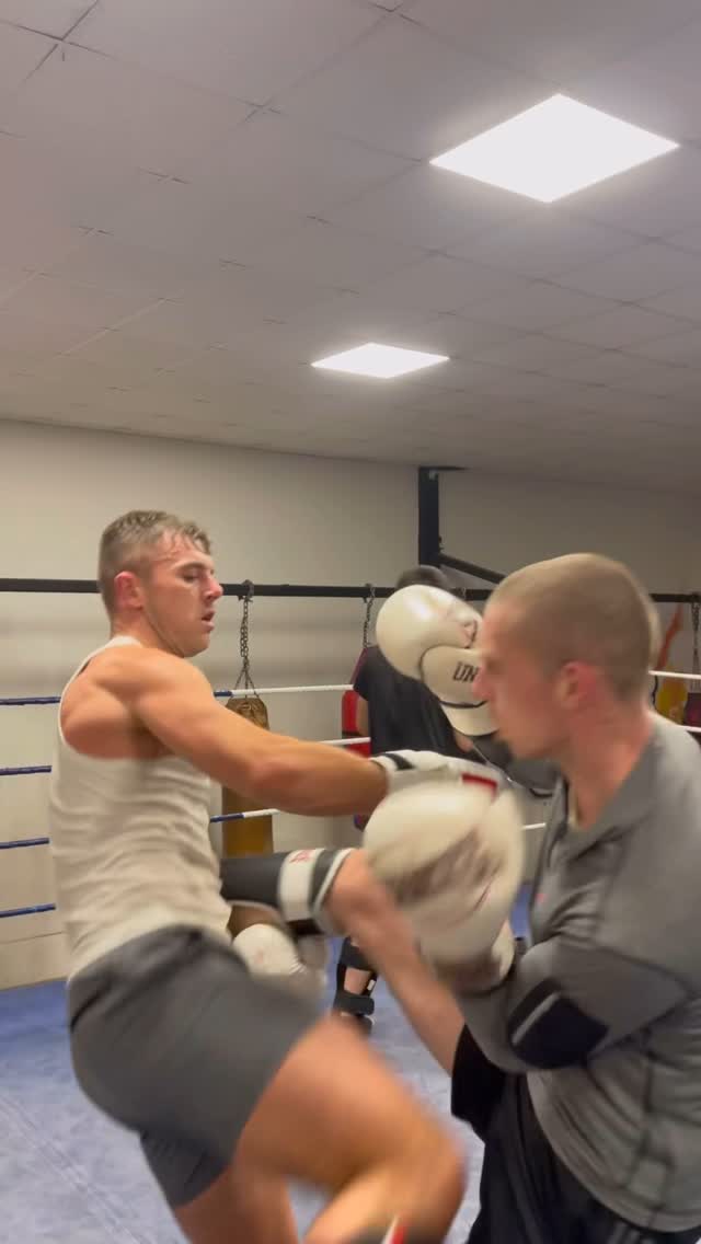 Some good sparring yesterday !