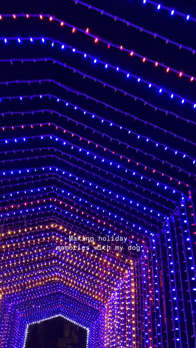 📍 Mankato, MN - Kiwanis Holiday Lights
Friday, 11/29 thru Tuesday, 12/31
5-9 pm weekdays, 5-10 pm Friday & Saturday
This 🌟 free 🌟 light show is one of our favorite dog friendly holiday traditions! Drive through an amazing display in Sibley Park, complete with synchronized music, reindeer, and the big guy himself 🎅🏼 !
Humans can get out and walk, but pups must remain in your vehicle. We like to drive through with the windows down so the boys can take in the scene. Ernie especially loves seeing the lights each year. We started this tradition in 2021 and love making the trip each year!
Donations ($ and non-perishable food) accepted for various local organizations.
#ernieoftheday