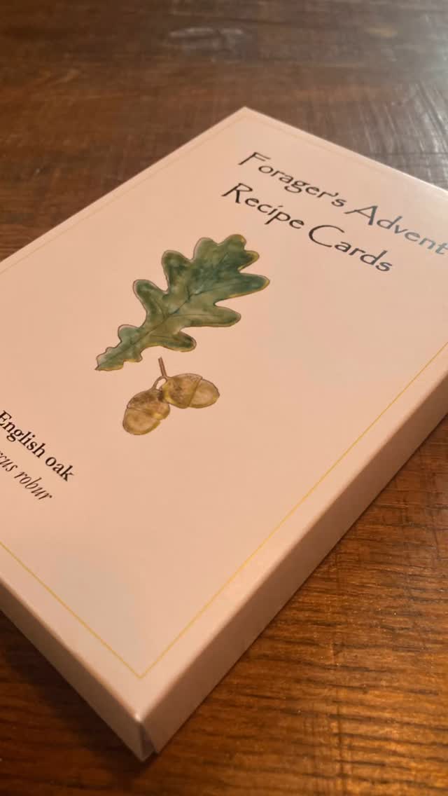 Forager’s Advent Recipe Cards! I’m so pleased with how these turned out ☺️🌱
Order yours now or send one in the post to a loved one. £16 plus postage, limited stock.
Thank you so much to everyone who’s ordered one!
https://www.nevermindtheburdocks.co.uk/category/all-products
#foraging #cornwall #wildfood #forager #plants #winter #christmas #christmasgifts #giftideas #naturelovers #presents #stockingfillers #recipe #recipecards #advent #adventcalendar #nevermindtheburdocks