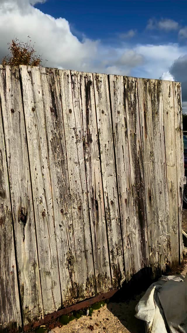 With Jaguar heading in a new direction, why not celebrate when they used to make desirable cars…
For more information and pictures visit our website in our bio…
#daimler #jaguar #sovereign #xj40 #daimlerxj40 #jaguarxj40 #classiccar #modernclassic #ukclassiccar #instacar #british #britishcar #bestofbritish #classicmotoring #britishmotoring #carforsale #forsale #foryou #carphotography #motorsport #motoring #sgtautomobiles #cargram #vintagecar #classicdriver #carsofinstagram #carculture #dreamcar