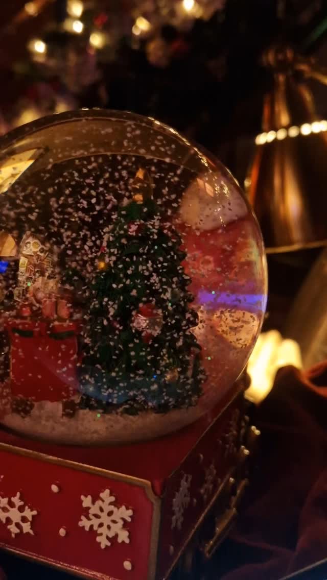 #thephonogramclub #ugento #salento #lecce #craftbeer #pub #drinklocal #christmas #natale24