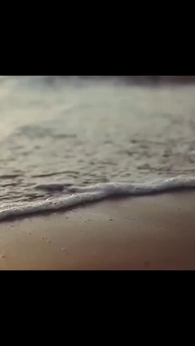 30 de enero al 02 de febrero. Formación/retiro de Yoga Hormonal (GPBALANCE) en Canal Om! Separa tu lugar.
www.gpbalance.com
#canalom #yogashalachile