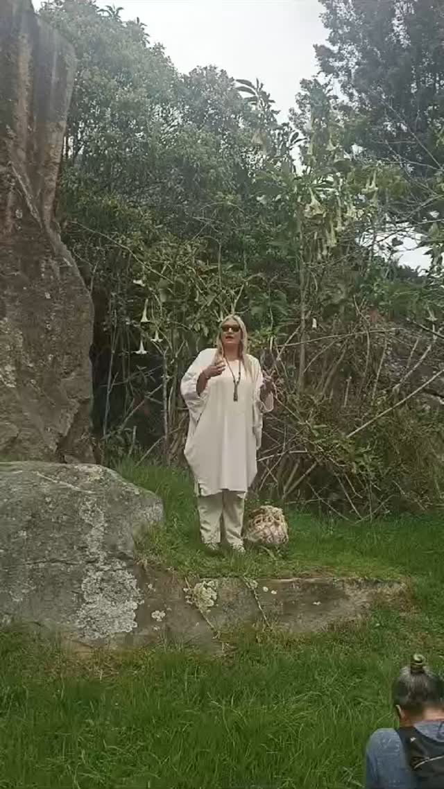 TYHYKY, Borrachero. Arbol.sagrado MHUYSQA. Energías que habitan su elemental