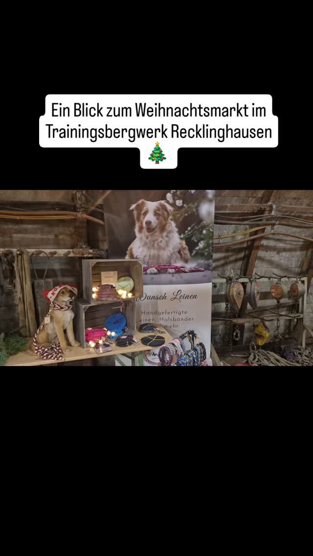 🎄 Der letzte Weihnachtsmarkt für dieses Jahr – wir sagen Danke! 🎄
Mit dem Weihnachtsmarkt im Trainingsbergwerk Recklinghausen haben wir unsere letzte Veranstaltung in diesem Jahr abgeschlossen. Der große Andrang und die wundervolle Stimmung haben das Jahr für uns perfekt abgerundet.
Vielen Dank an alle, die diesen besonderen Weihnachtsmarkt so einzigartig gemacht haben! ✨
#HandmadeWithLove #WeihnachtsmarktRecklinghausen #HandgemachtMitLiebe #OnlineShop #EinzigartigeGeschenke #Weihnachtsmarkt #Weihnachten2024 #hundeprodukte #hundeliebe
#weihnachtsgeschenke
#hundezubehör #wunschleinen
#Trainingsbergwerk #Trainingsbergwerkrecklinghausen