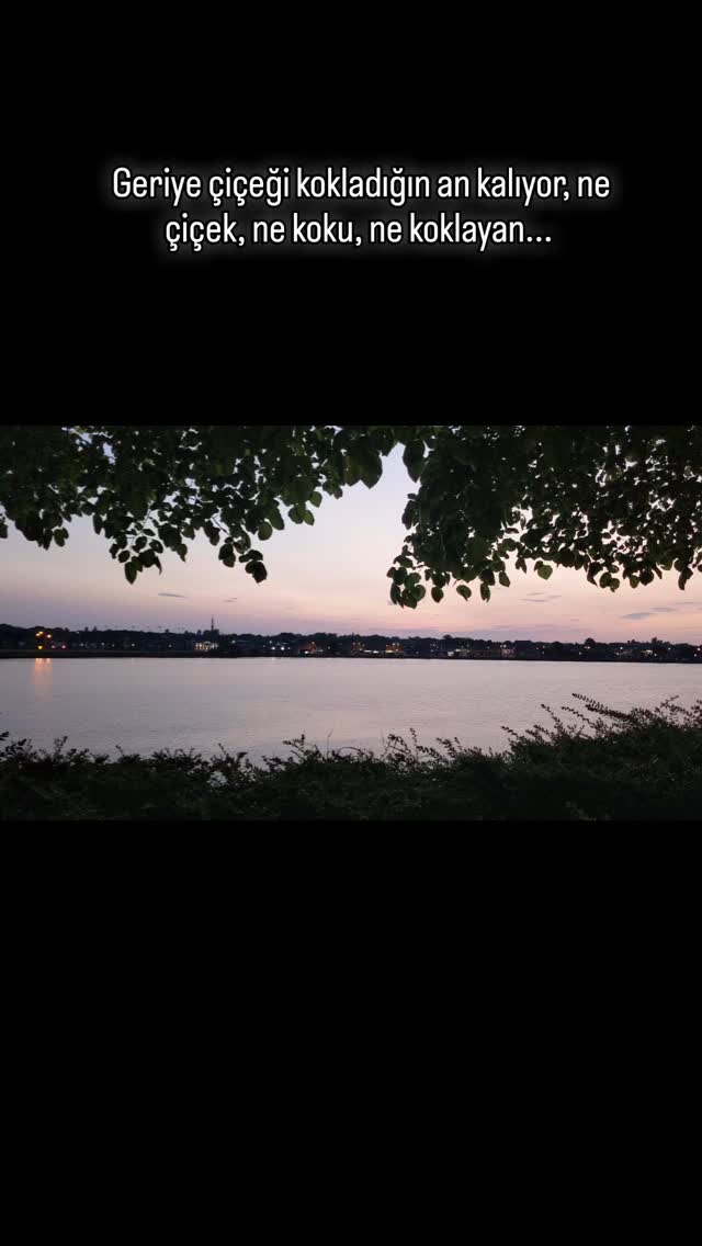 John Berger'ın, Martine Franck'le "fakslaşma"larından, '98'de, Martine'nin "Mutlu musun?" sorusuna cevabıdır:
"Mutlu muyum? Mutluluğun bir hâl olduğuna inanmıyorum aslında. Mutsuzluk olabilir ama mutluluk, doğası gereği anlıktır. O an birkaç saniye sürebilir, bir dakika, bir saat, bir gün ve bir gece, ancak bir hafta böyle gitmesinin mümkün olabileceğini düşünmüyorum hiç. Mutsuzluk ekseriya uzun bir roman gibidir. Mutluluk fotoğrafa benzer daha çok! ve senin dediğinle yakından ilintilidir: hayret hissi... İzlenimim o ki, gençken mutluluk anları ıstıraba yakın bir noktaya itilirdi, şimdiyse bir sığınak gibiler adeta... Kimi anlarda hayret edebilmekten mutluyum. Senin Cibuti'deki ağacının karşısında duyduğum hayret gibi!"
*Bir Fotoğrafı Anlamak